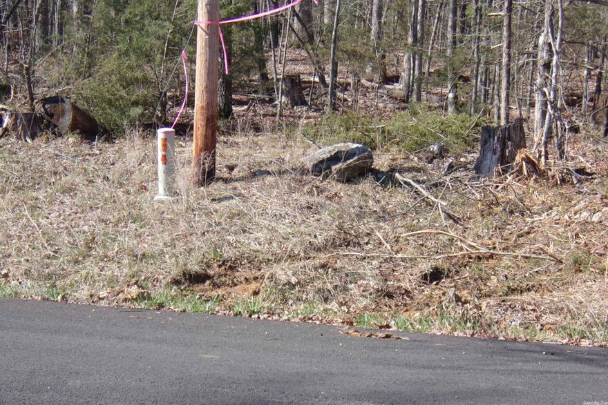 Fantastic opportunity to build your dream home on this beautiful lot with potential for a walk-out basement. Enjoy a peaceful, seasonal view of Bull Shoals Lake in a quiet, scenic setting. Located on a paved road with city utilities available, this property offers convenience and charm. Priced at just $10,000, it’s an ideal spot for a primary residence or weekend retreat. Don’t miss out on this affordable lake-area homesite!