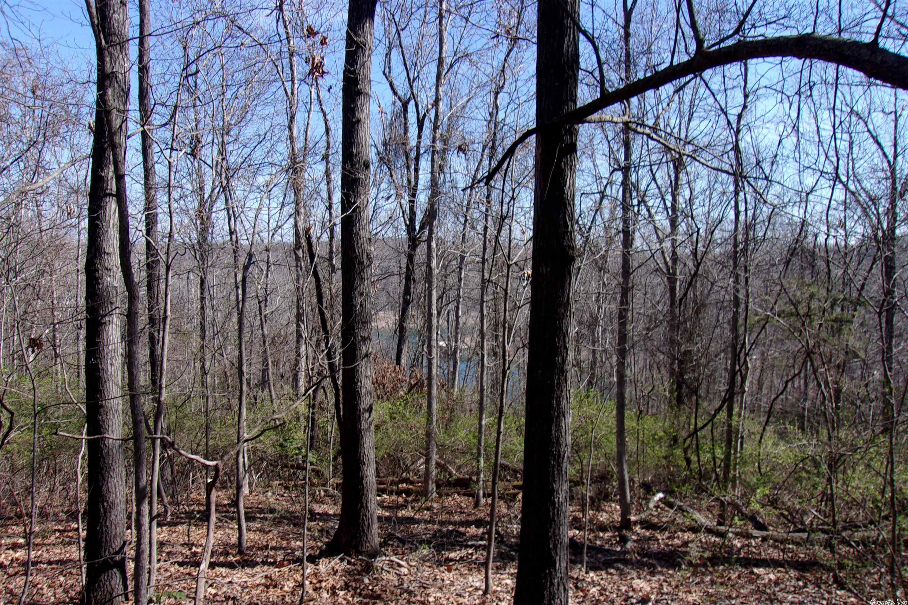 McDonald Meadows - Land