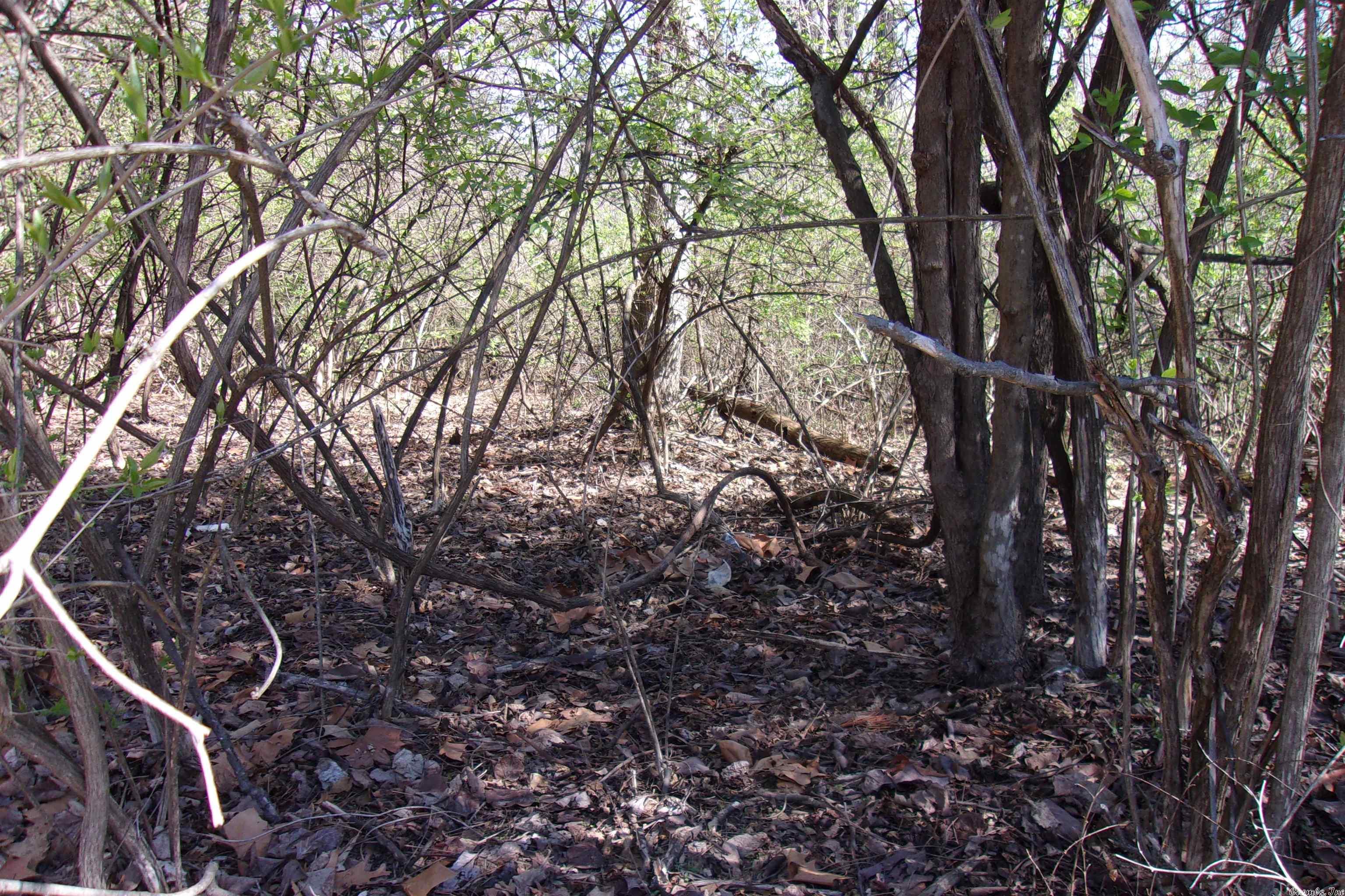 McDonald Meadows - Land