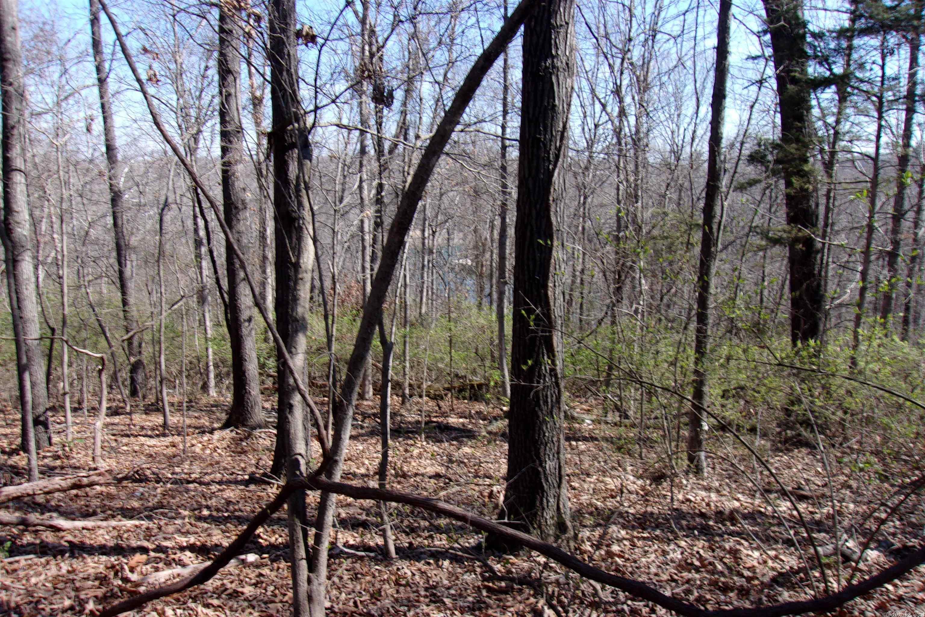 McDonald Meadows - Land