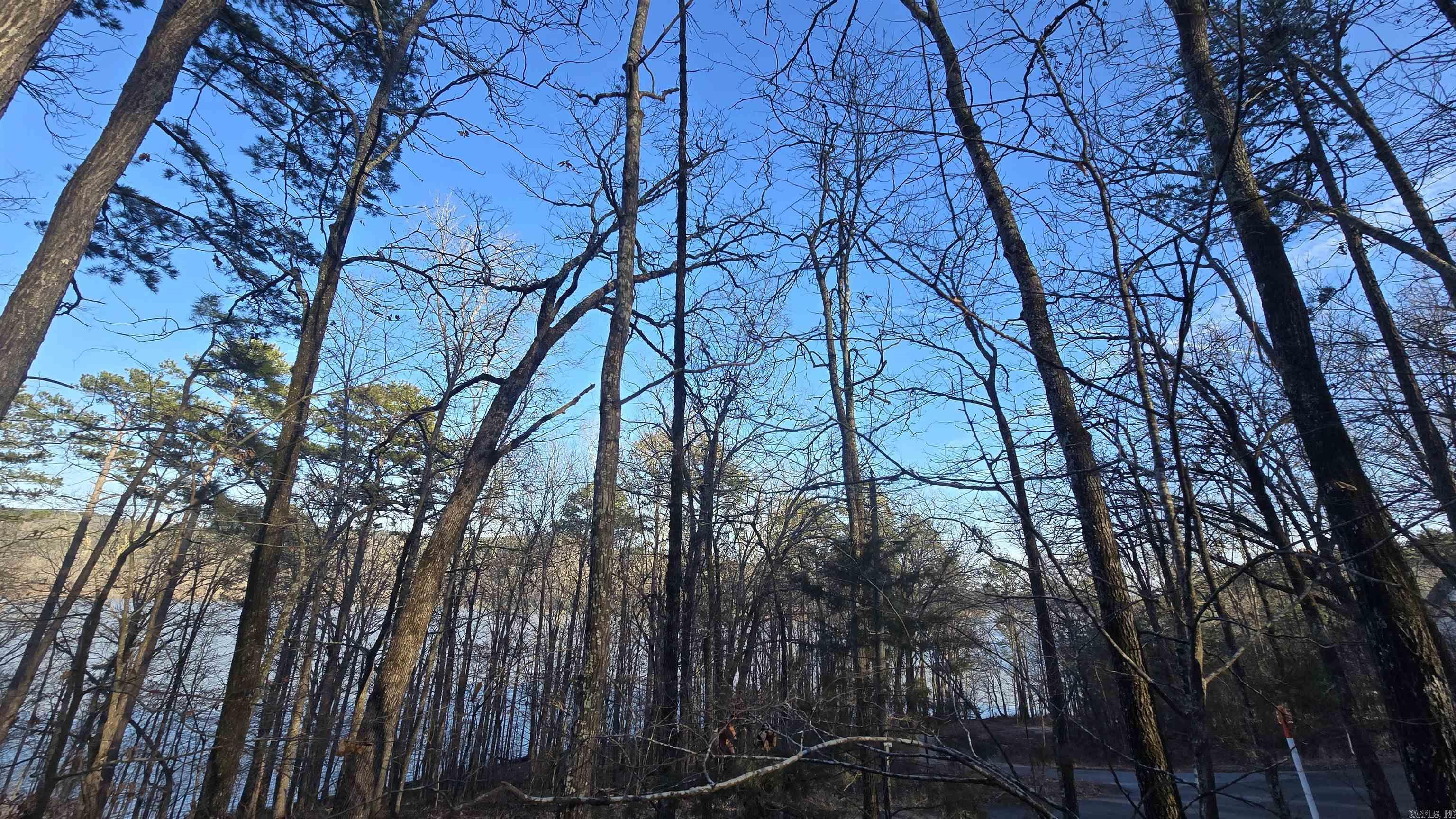 Own your slice of paradise on the crystal-clear waters of Greers Ferry Lake in the Ozarks! This lakefront lot is your blank canvas—build the lake home you’ve always dreamed of. Savor fine dining just around the corner at Janssen's lakefront Restaurant, with Baptist Health doctors and a local dentist within a 10-min drive. Crave adventure? Head up the mountain to Fairfield Bay—join and explore 100 miles of trails for SXS, hiking, and biking, plus 3 community pools and more! This nicely priced lot puts you steps from the water and minutes from it all. Your lake life awaits—grab it now!