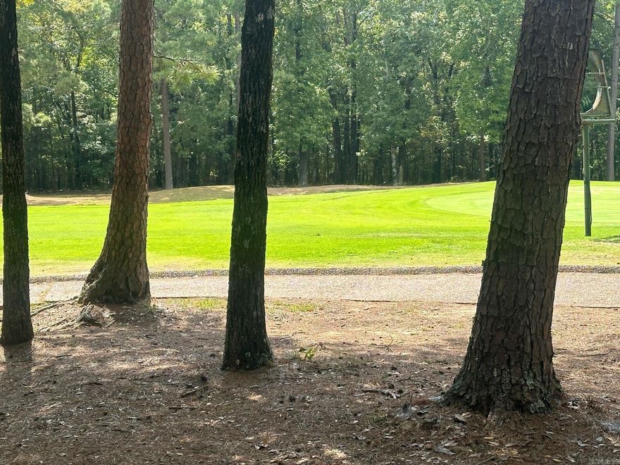 300' Golf Course Frontage!!!!   GREAT Golf Corse BUILDING LOT IN RESTRICTED SUBDIVISION. Directly on GOLF COURSE between signature hole # 7 and hole #8, Close to GREERS FERRY LAKE,  REC. AREA, Tennis, Pickel Ball, BASKETBALL. GOOD POTENTIAL FOR SECOND HOME, RETIREMENT HOME, OR INVESTMENT PROPERTY.
