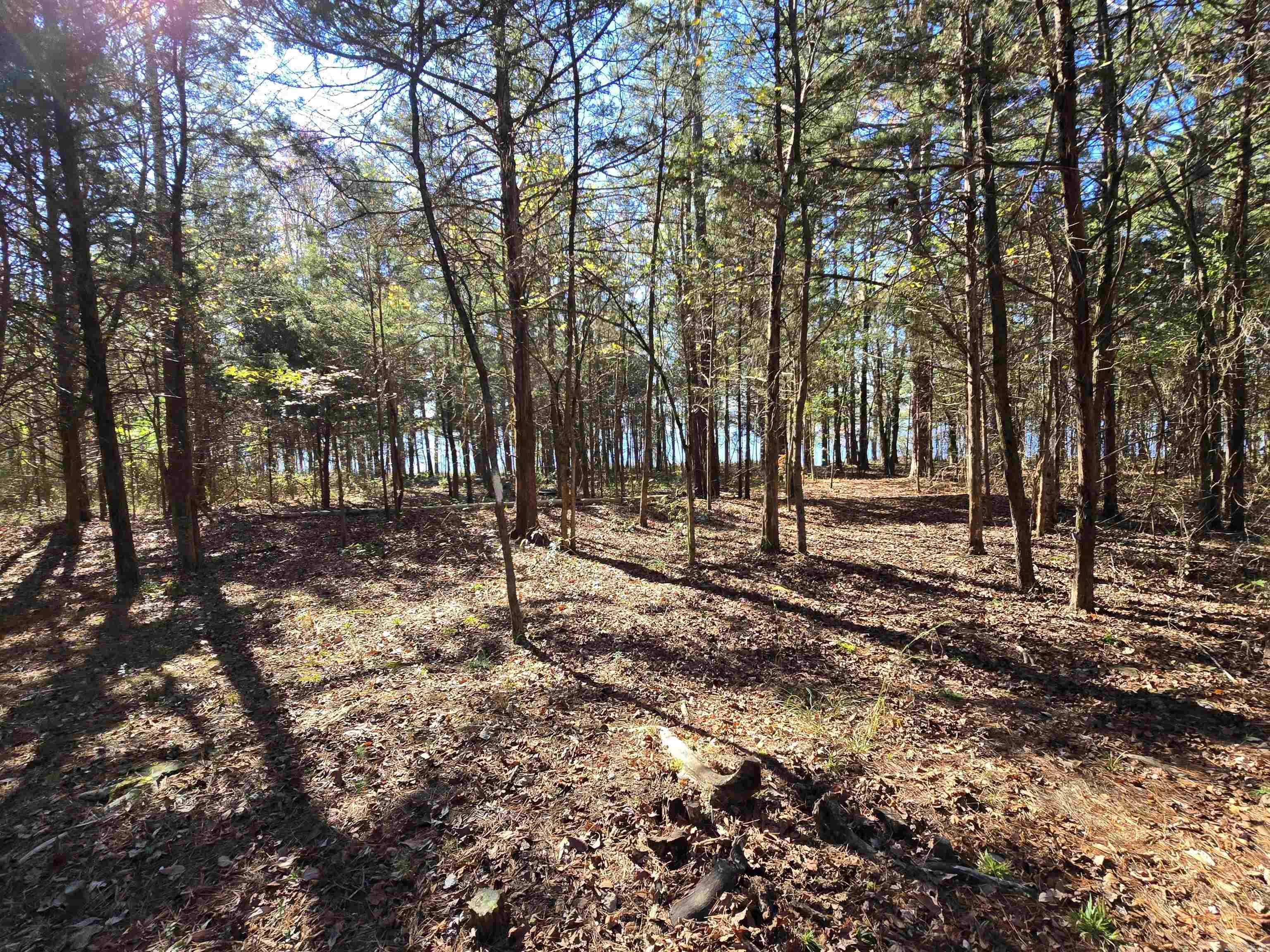 Mills Point - Lake - Residential