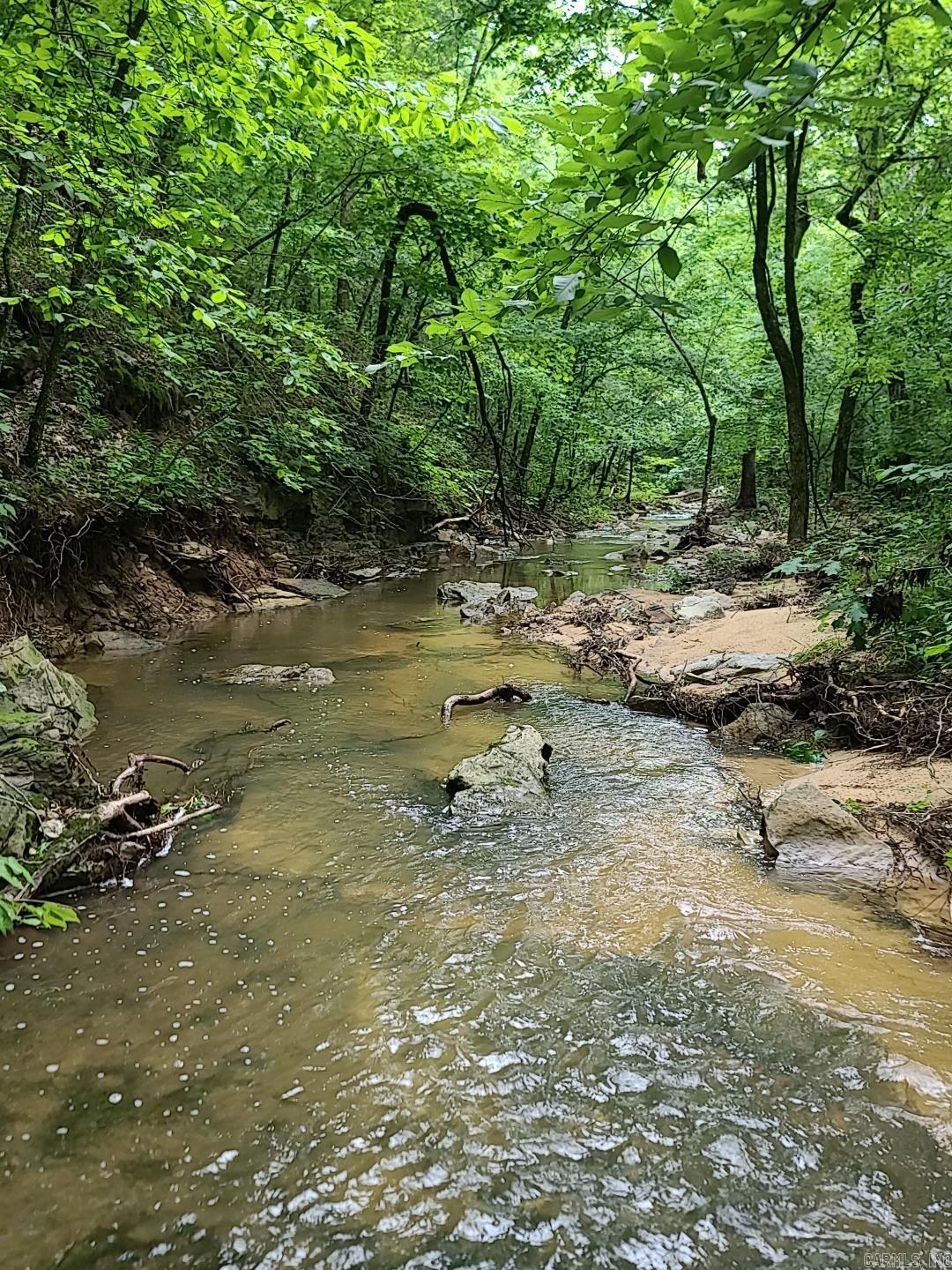 The Calico Creek 80 is your secluded Ozark getaway located just west of Pineville, Arkansas. This property features mature hardwood timber, glades, over 1,000 feet of Calico Creek, and large rock formations. Wildlife such as whitetail deer, turkey, squirrel, bear, and even an occasional mountain lion have been spotted in the area. While this property does not have a legal easement, neighboring landowners have graciously allowed the current owners access for hunting trips, maintenance, and treasure hunting. This is a unique opportunity to own an affordable tract tucked away in the Ozark Mountains!