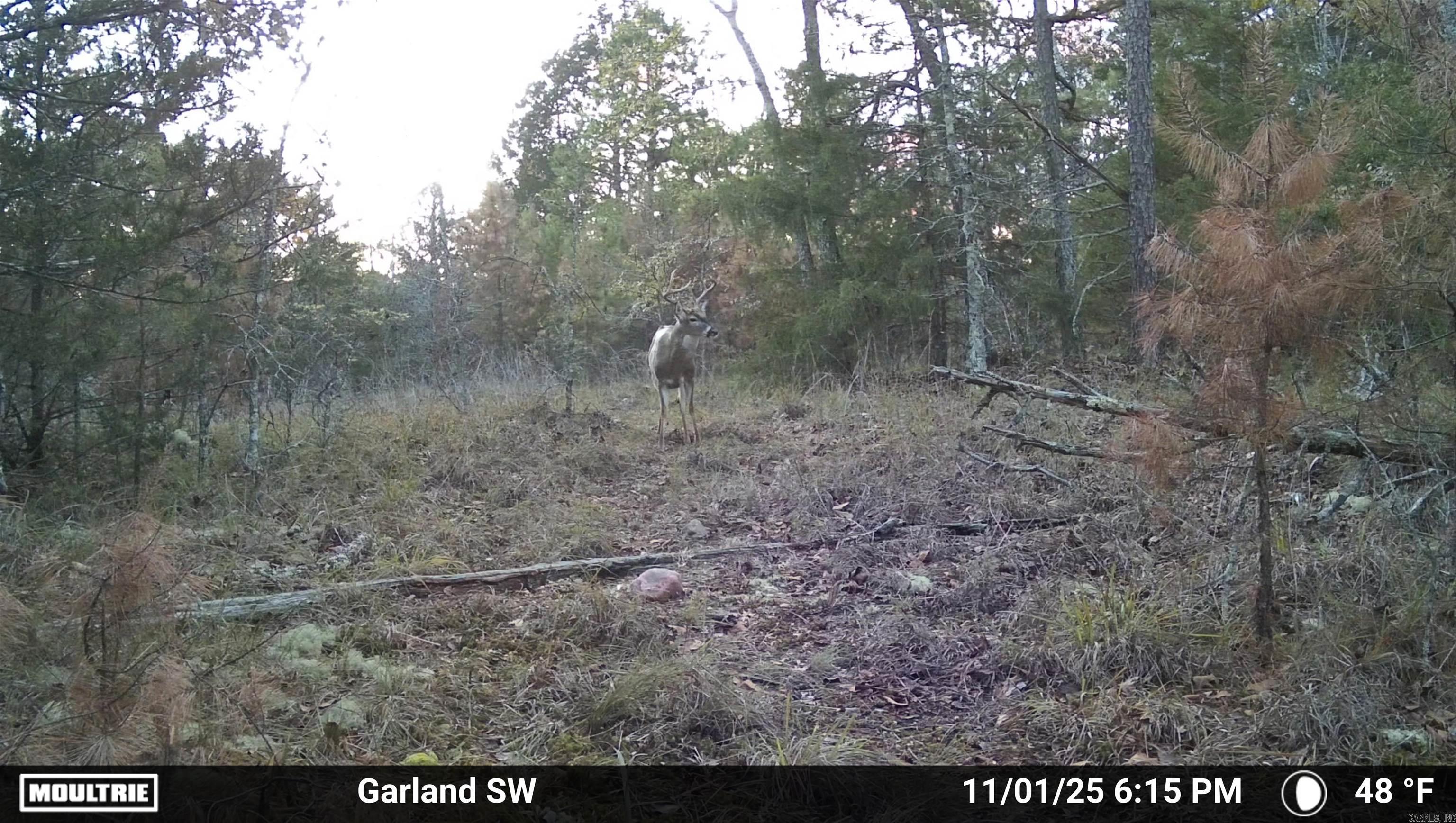 Metes & Bounds - Land