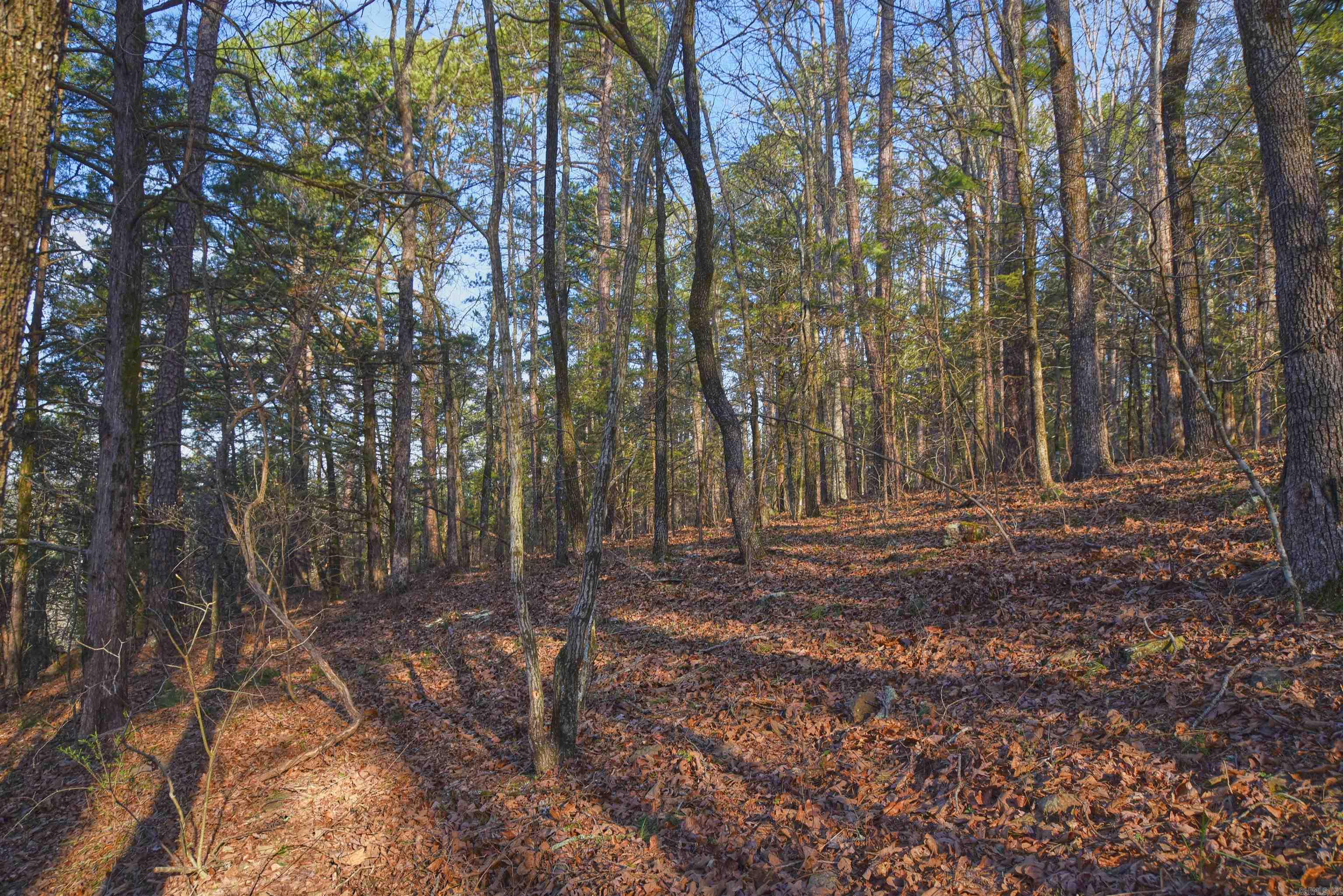 Metes & Bounds - Land