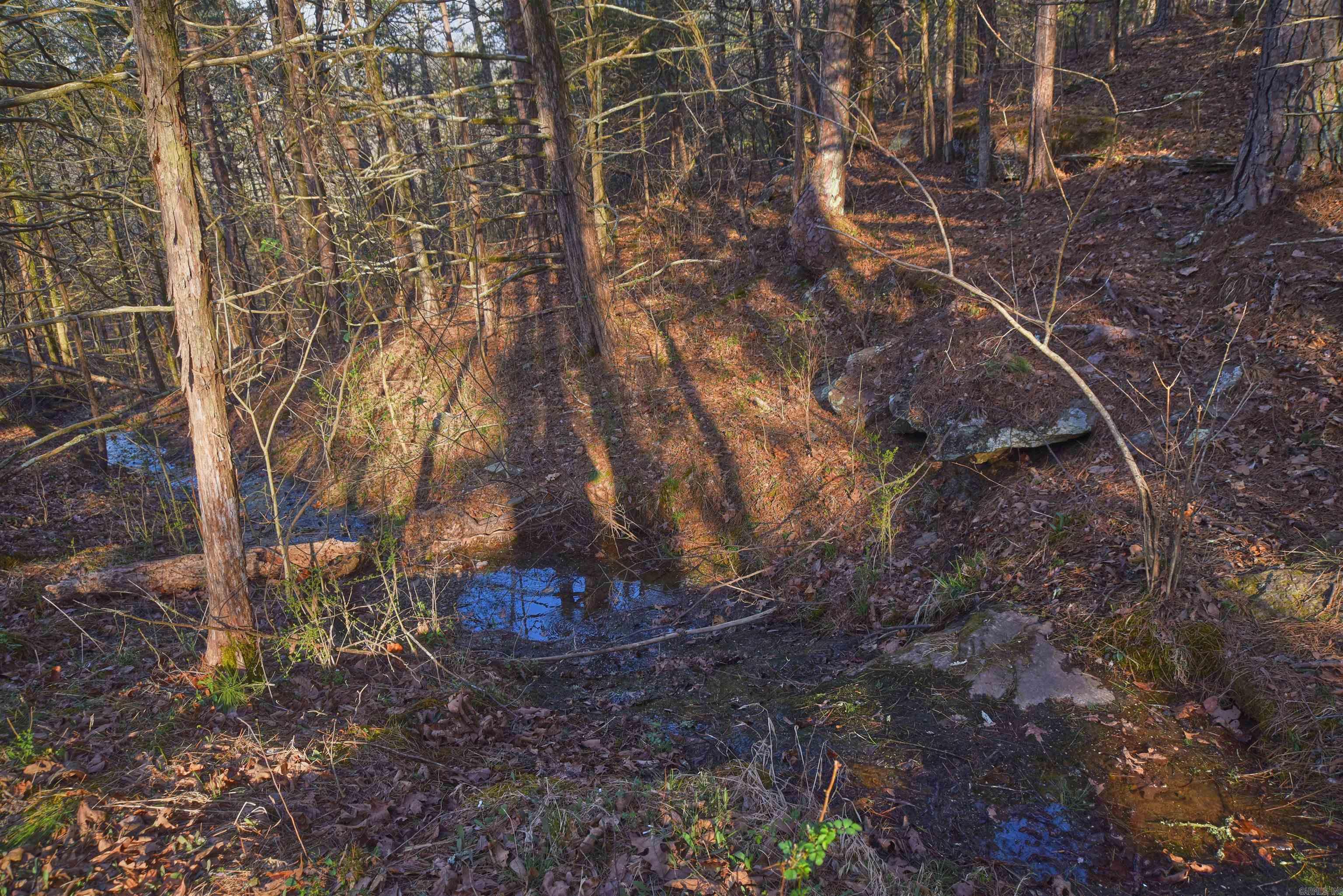 Metes & Bounds - Land