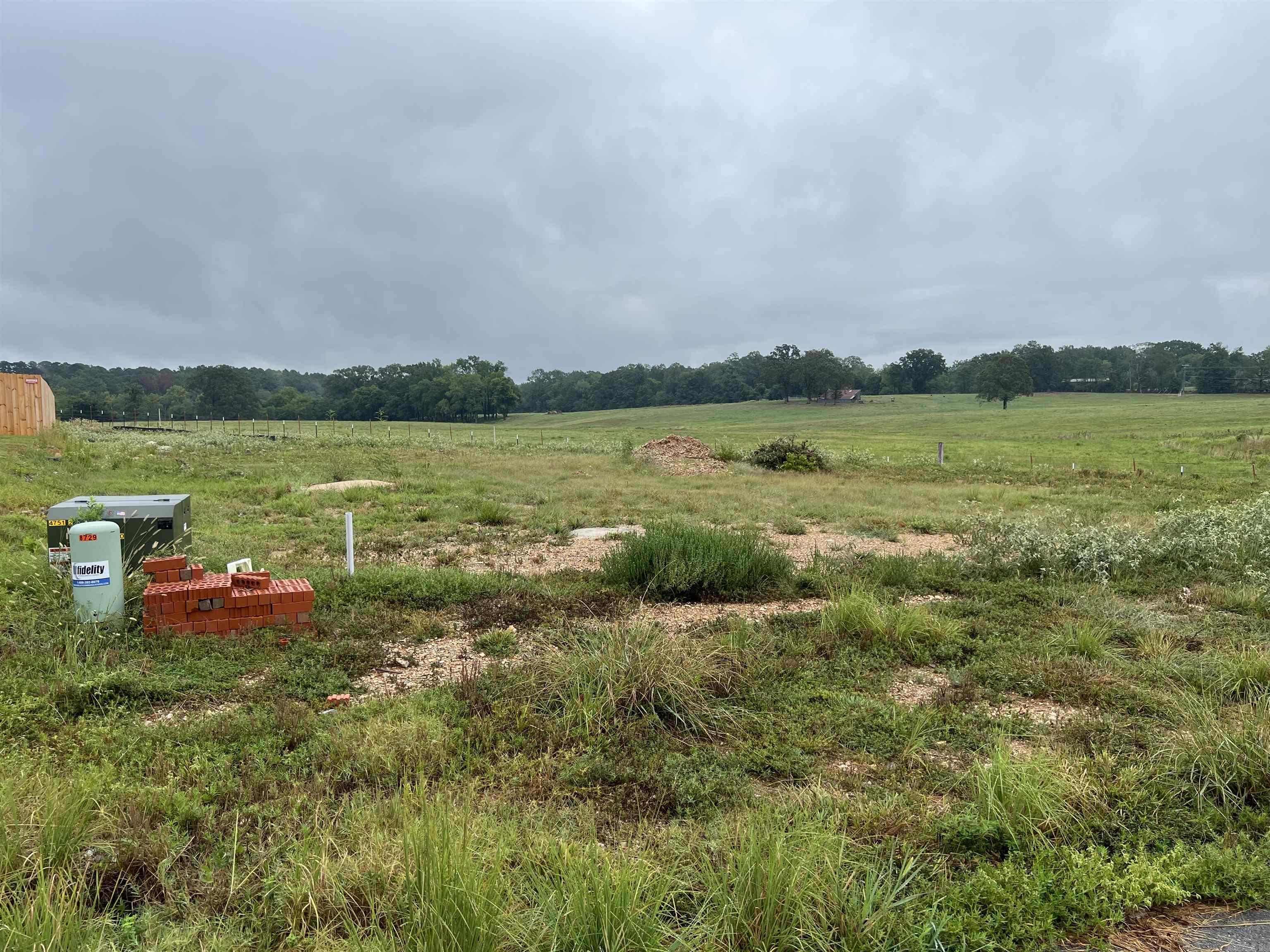 One of Bryant's newest Subdivisions. Conveniently located off Northlake Rd. Between the great Springhill Elementary and wonderful Bethel Middle School. This subdivision isn't too big you won't know your neighbor. Bring your builder and come check out the available lots!