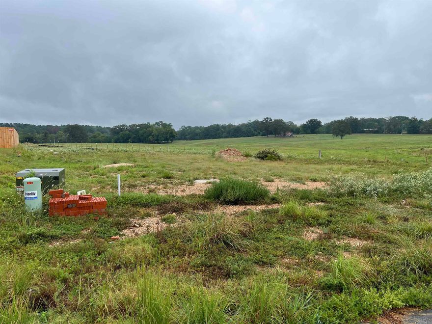 One of Bryant's newest Subdivisions. Conveniently located off Northlake Rd. Between the great Springhill Elementary and wonderful Bethel Middle School. This subdivision isn't too big you won't know your neighbor.  Bring your builder and come check out the available lots!