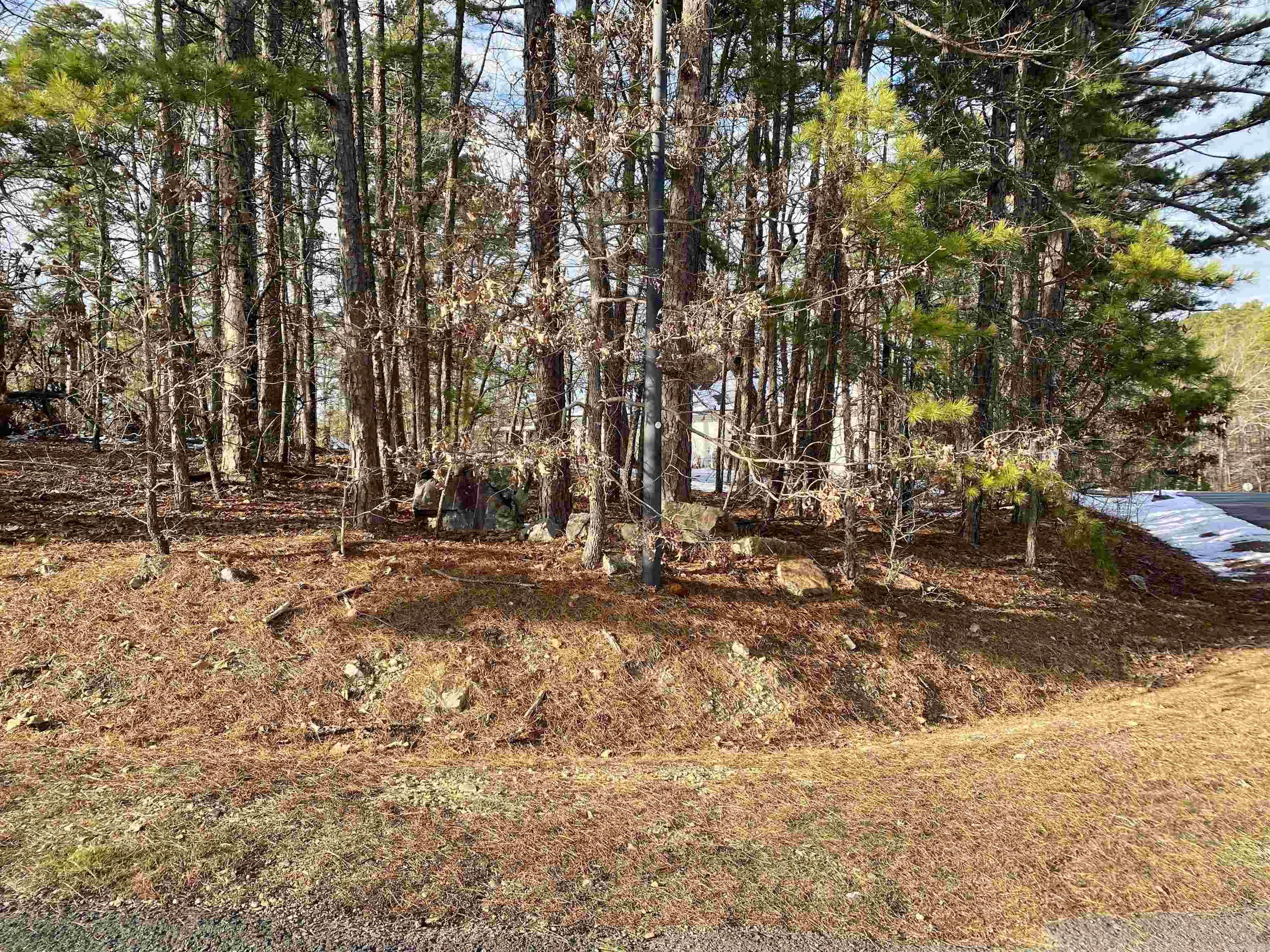 Nice level lot on corner of Hanares Lane and Coronado Lane. Flat and easy to build on. Save some money on construction costs with a slab. Great neighborhood to walk around and see some views of Lake Coronado. New Member Buy-in Fee due at closing.