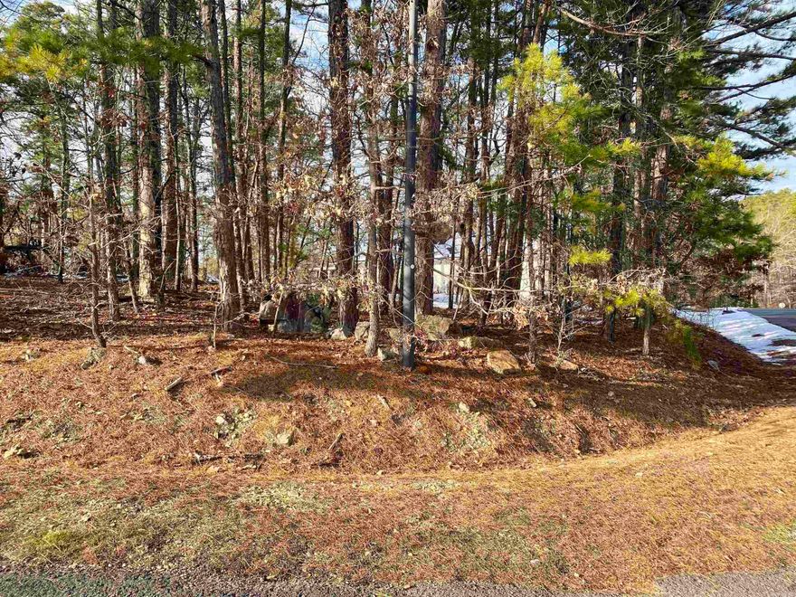 Nice level lot on corner of Hanares Lane and Coronado Lane. Flat and easy to build on. Save some money on construction costs with a slab. Great neighborhood to walk around and see some views of Lake Coronado. New Member Buy-in Fee due at closing.