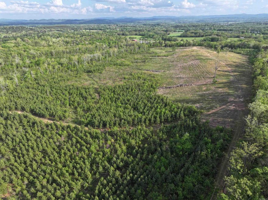 Discover this exceptional 79-acre m/l property offering the perfect blend of natural beauty and functional land use. Featuring a mix of mature hardwoods, pine timber, and open cleared areas, this tract showcases stunning views of the Ouachita Mountains and sits just minutes from the Ouachita National Forest.  The property is nearly fully enclosed with quality net wire fencing, making it ideal for livestock, recreation, or future development. Multiple prime building sites are already in place, with electric and rural water available on the property—providing a strong foundation for your dream home, cabin retreat, or investment project.  A small creek winds through the land, enhancing both its beauty and usability, while established trails offer excellent access for ATV riding, hiking, or wildlife movement. With abundant deer and other native wildlife, this property is a true outdoorsman’s paradise.  Boasting extensive Polk County road frontage, access is convenient and reliable year-round. A unique feature of the land includes a long stretch of bottom ground, presenting an outstanding opportunity to develop a large pond or even a private lake.