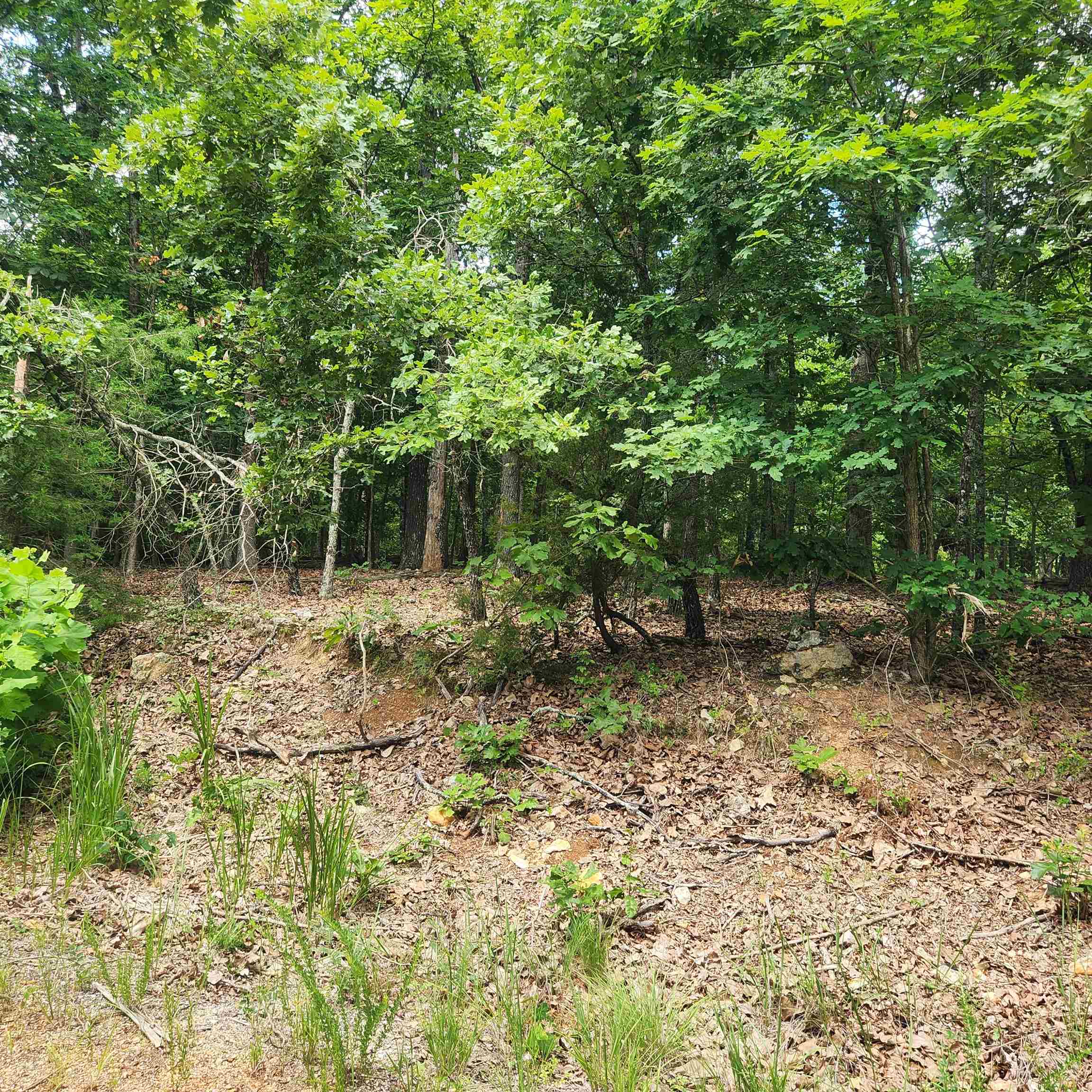 Wonderful and wooded lot in the heart of Cherokee Village. Secluded and away from it all. Buy this lot and pick your spot to build your dream home or just a getaway cabin. With ownership of this lot you have access to all the amenities of Cherokee Village such as the lakes and golf courses and Thunderbird Center and swimming pool, mini golf, parks, hiking trails and don't forget about the beautiful Southfork River.
