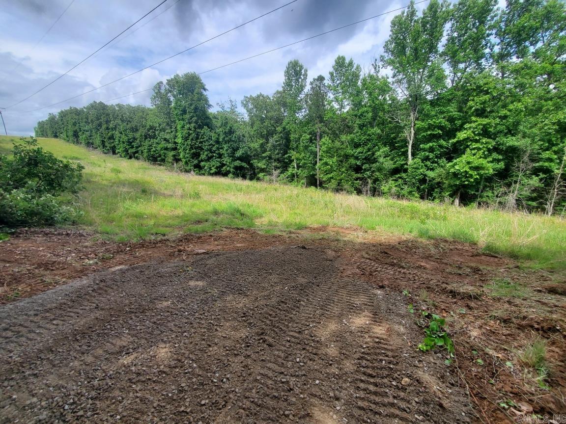 Enjoy peaceful rural living on this 1.75 acre wooded lot. There are no restrictions so you can build to your taste. Log cabin, mobile home, shop house, etc. It's up to you! This property will need a septic system and a well dug. Electricity is available off of Shrewsbury Cove.