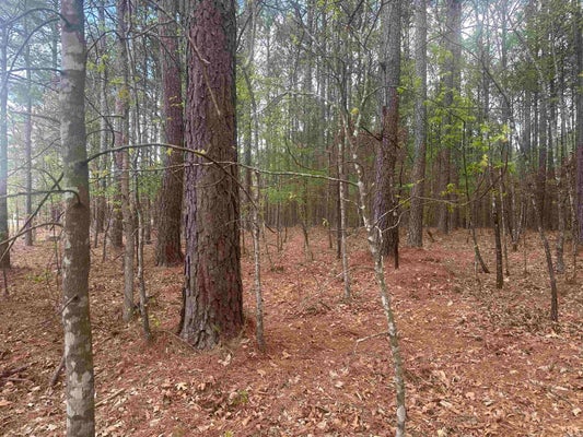 6 ALHAJA WAY, HOT SPRINGS VILLAGE, AR 71909 - Image 5465475eab33c6ea09d75d7fe748903d/120394881