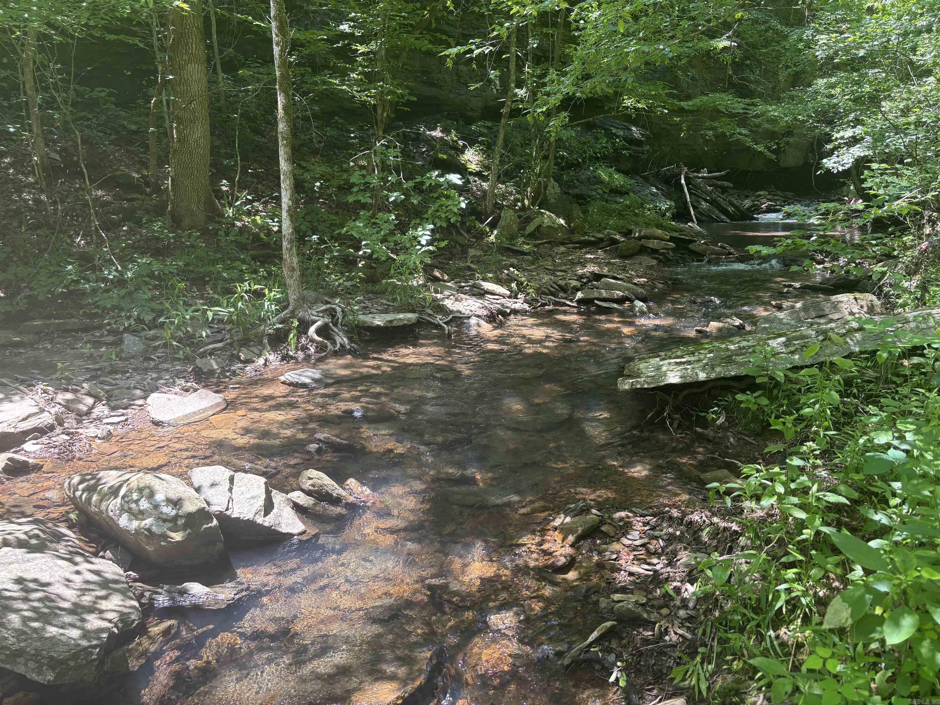 Beautiful and quiet property with seasonal creek. Beautiful rock formations. Make a great get away with nature. Has small one cabin on property. Selling as is. Must have a 4x4 . Lots of wildlife. Coordinates are 35.6316 -92.3179