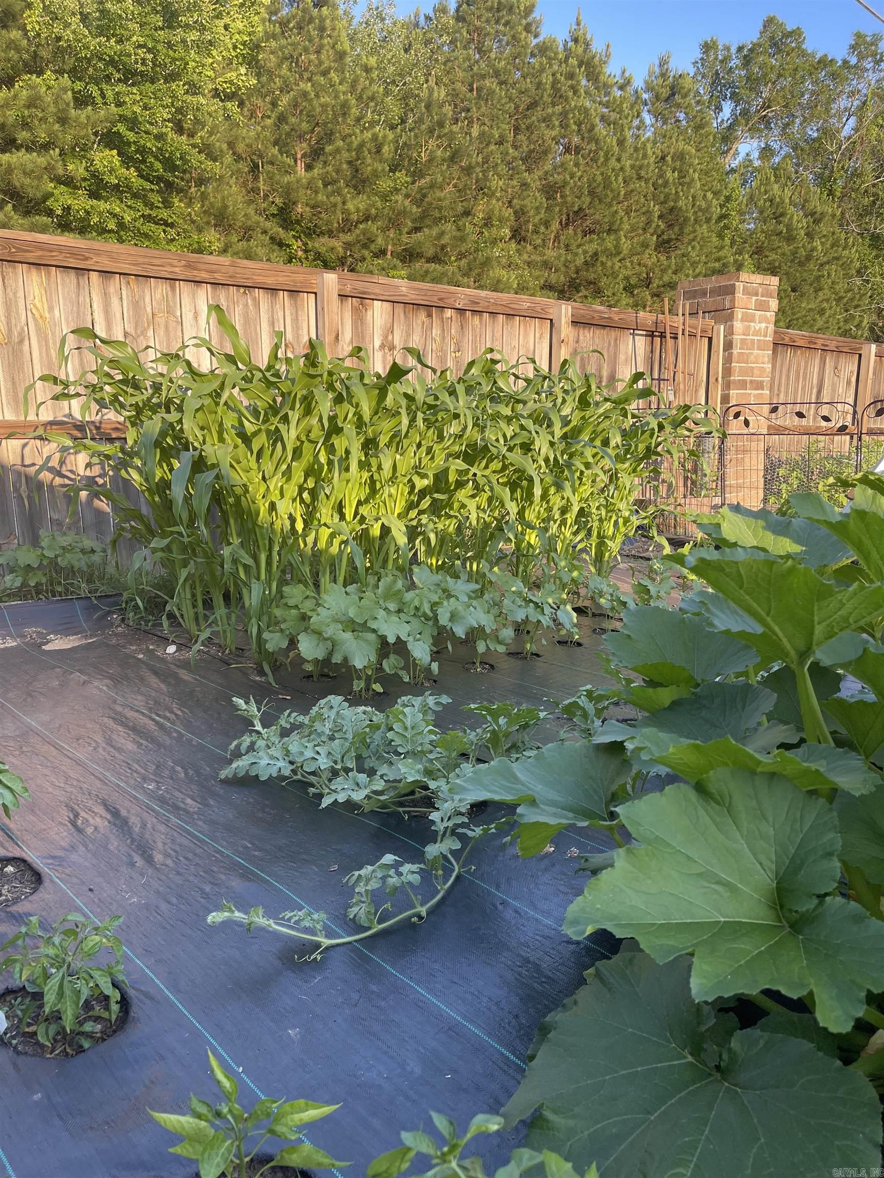 BENJAMIN GROVE - Residential