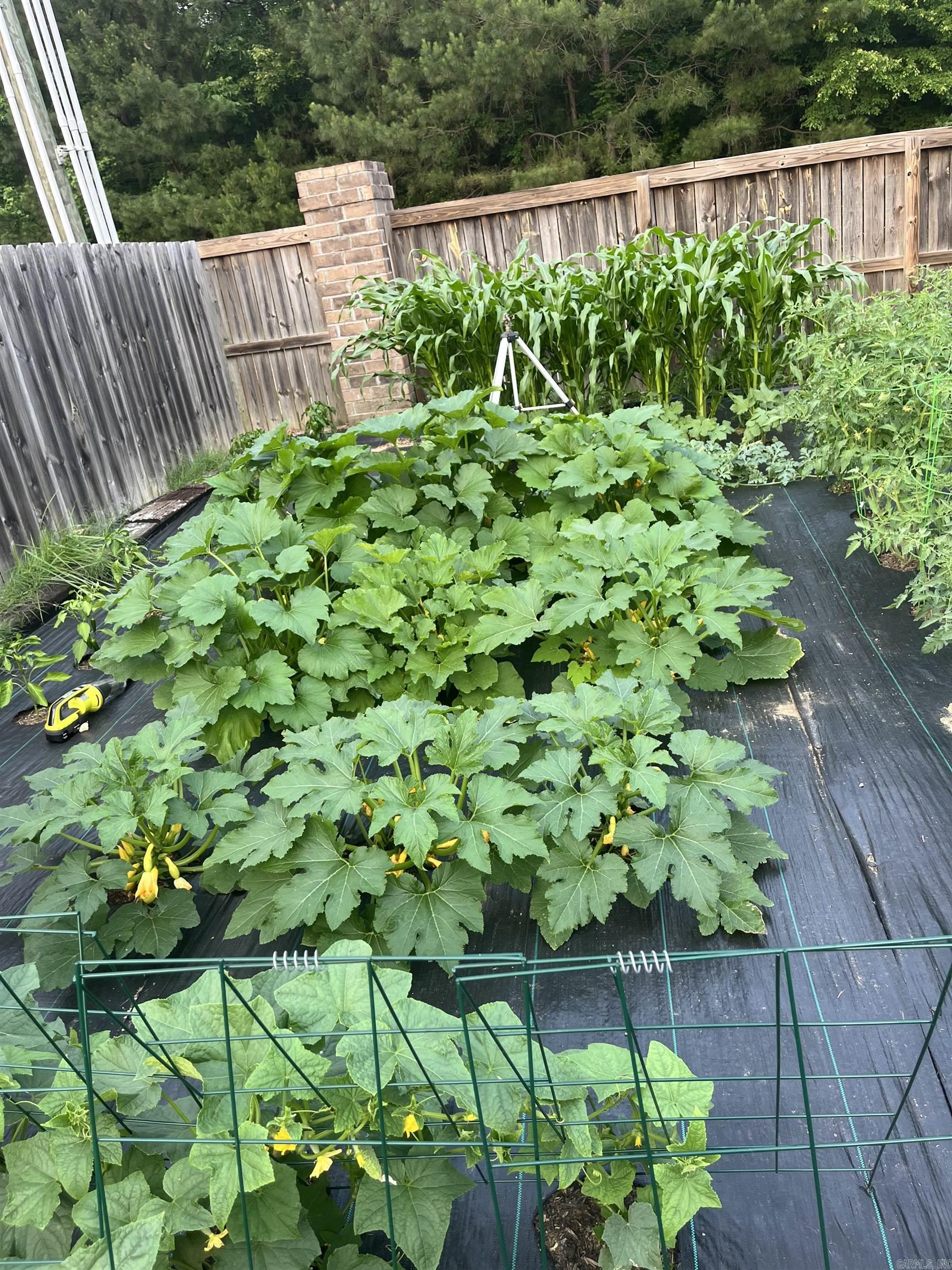 BENJAMIN GROVE - Residential