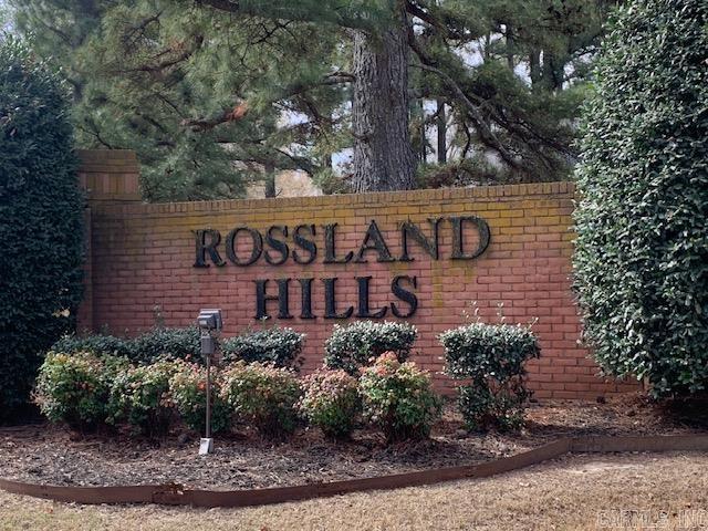 Rossland Hills - Land
