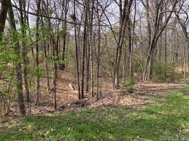 Rossland Hills - Land