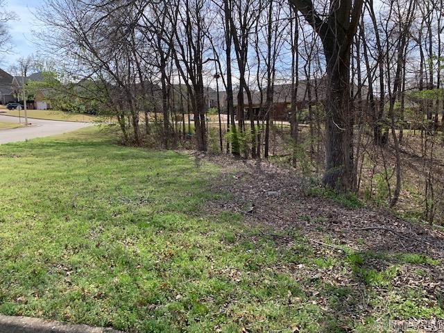 Rossland Hills - Land