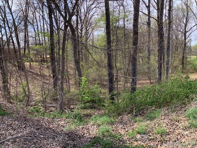 Rossland Hills - Land