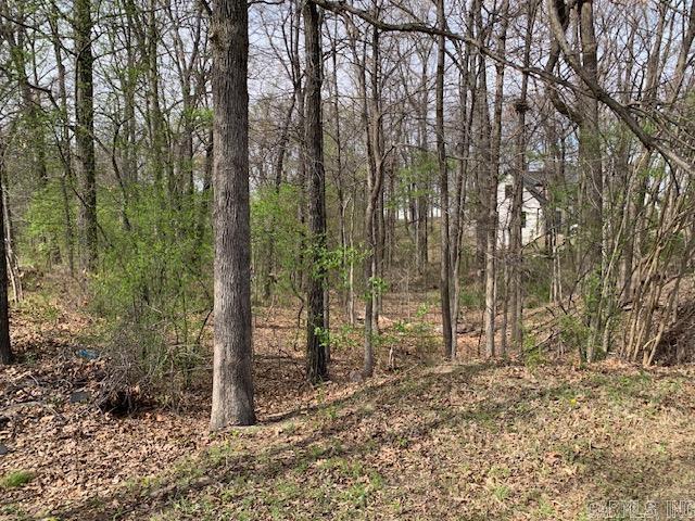 Rossland Hills - Land