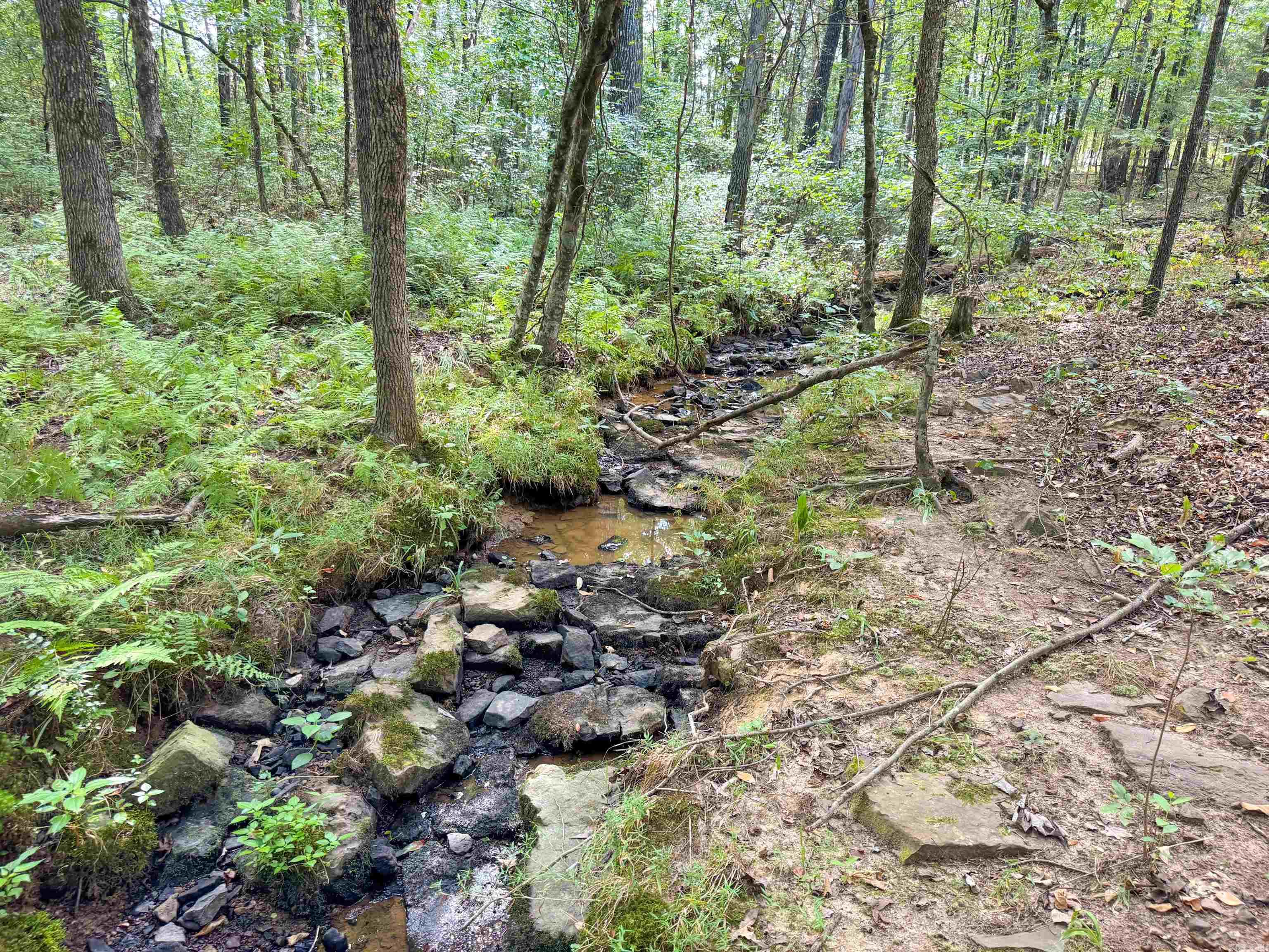 Metes & Bounds - Land