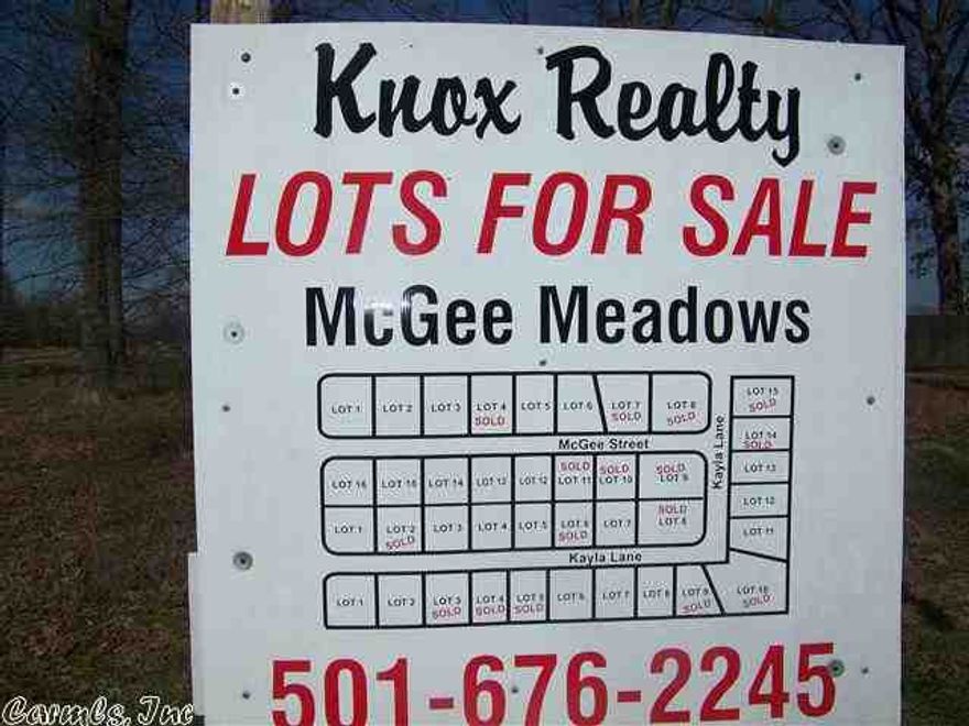 Lonokes newest subdivision.  Nice big lots with mature trees, underground utilities, curb and gutter streets with Bill of Assurance.  No Mobiles Allowed.