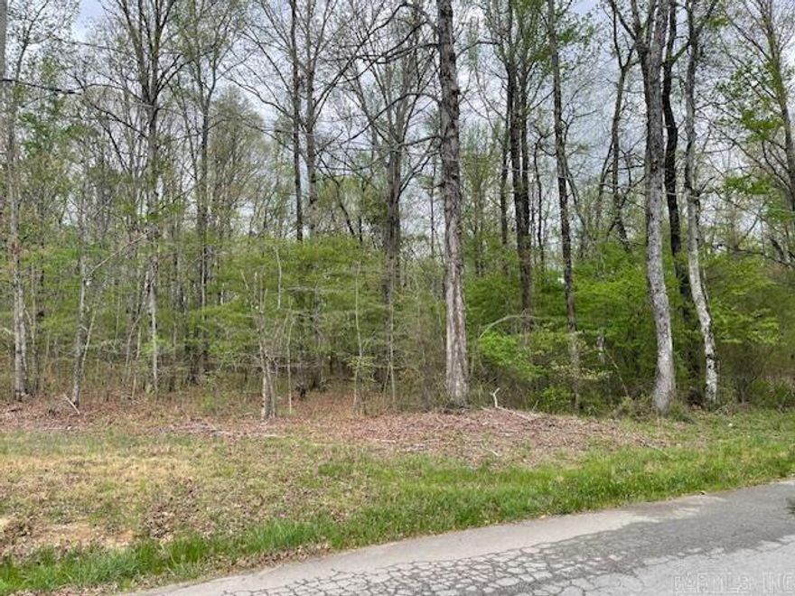 if you are looking for the perfect land to build your dream home, you might have just found it!! This beautiful piece of land has tons of hardwood trees, a wet weather creek at the back of the property and is convenient to both Little Rock and Bryant.