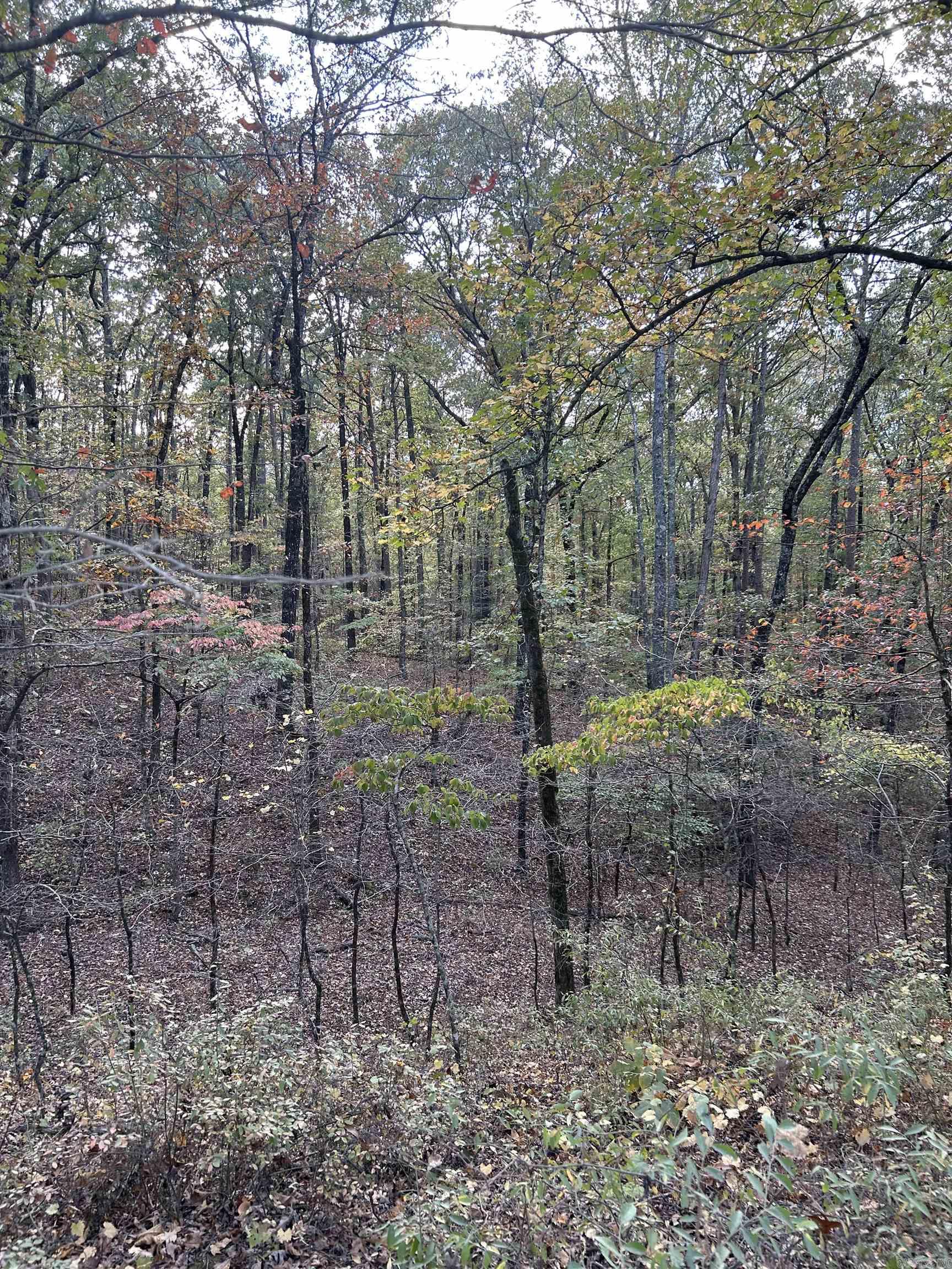 Fountain Lake - Residential