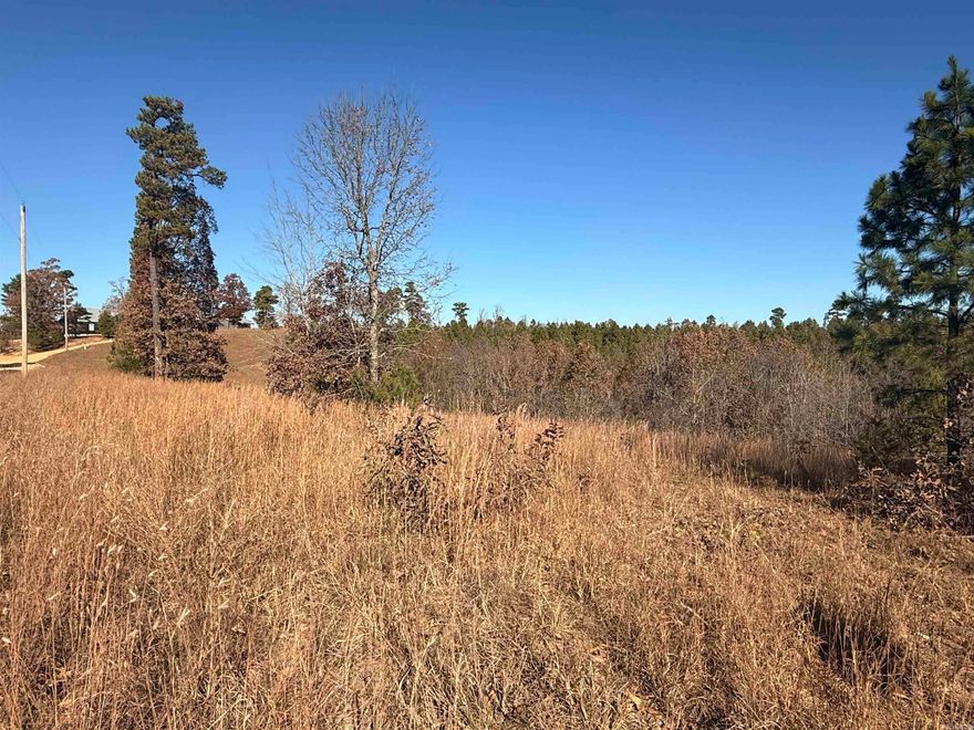 Building Lot, 3.41 acres. Tract 23 of The Blessing.  Water and electric available.  Nice view in desired subdivision. Covenants & Restrictions attached.