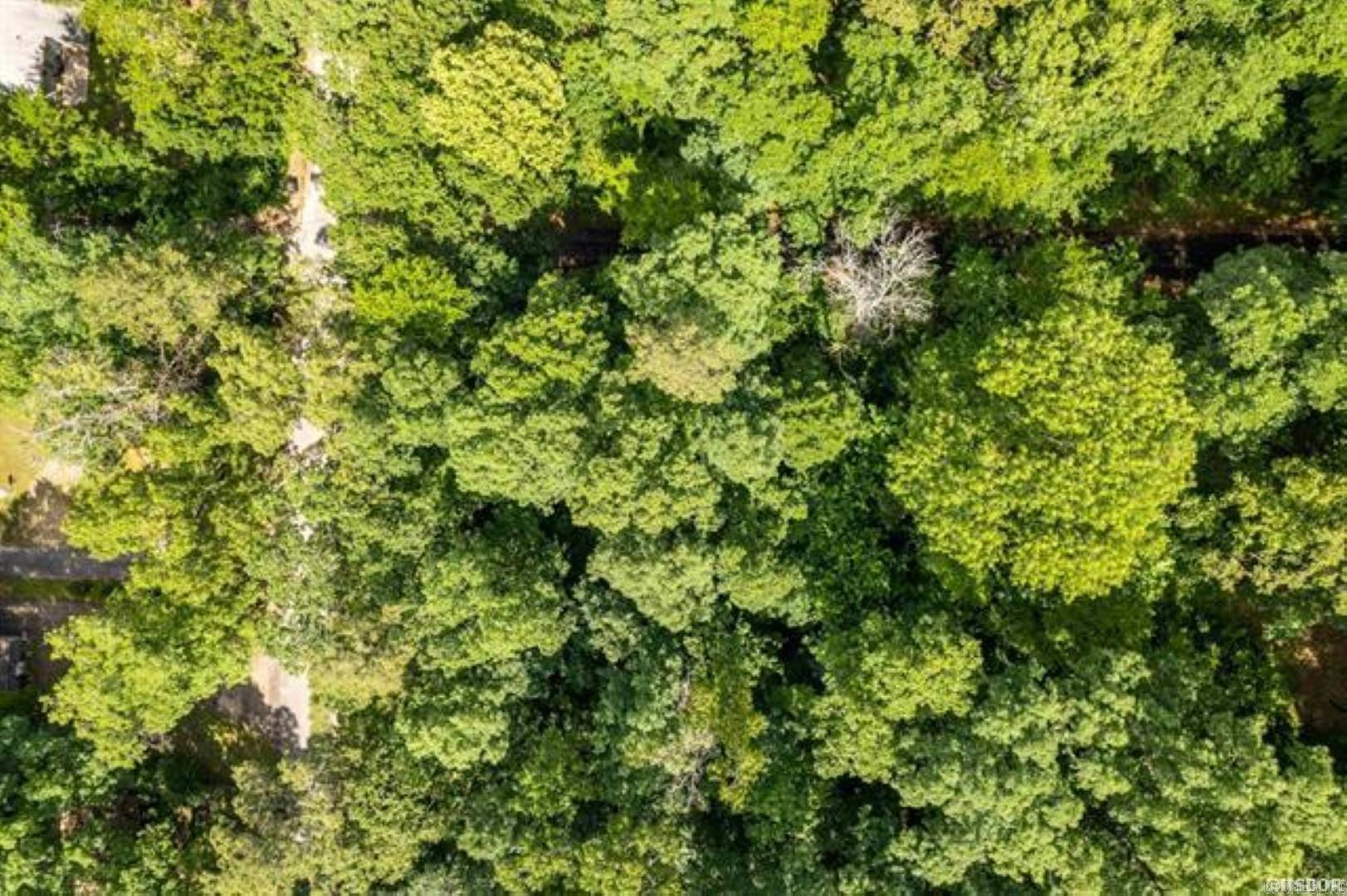 Arkridge Lake Estates - Land