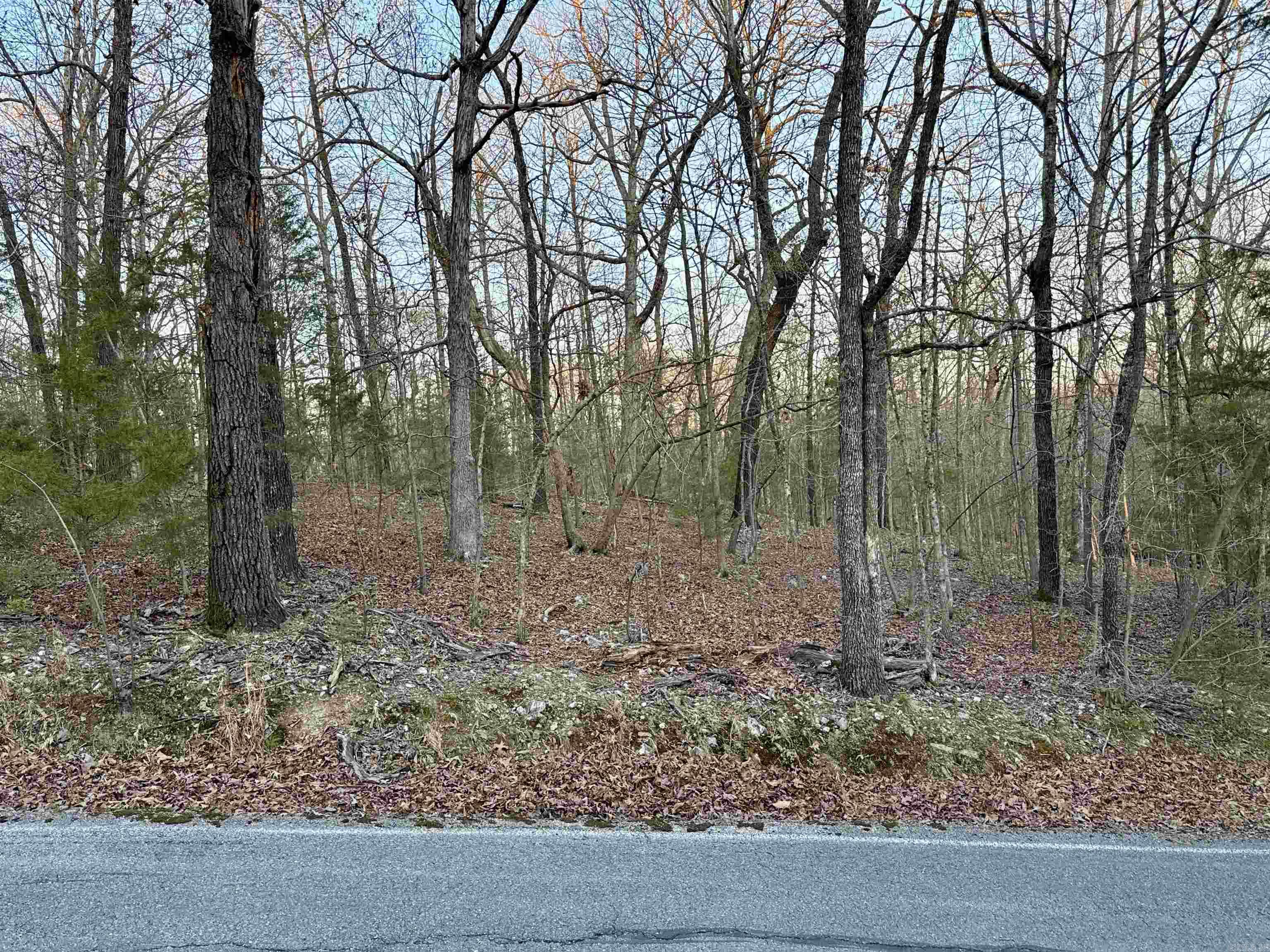 6 lots in the Glen Cove Subdivision in Lakeview, Arkansas. Near Bull Shoals Lake and Mountain Home. 1.81+/- acres total. Lots 64, 65, 66, 67, 68, 94. Water and Electric available. 1400 sqft minimum to build, no mobiles or RV as permanent residence.