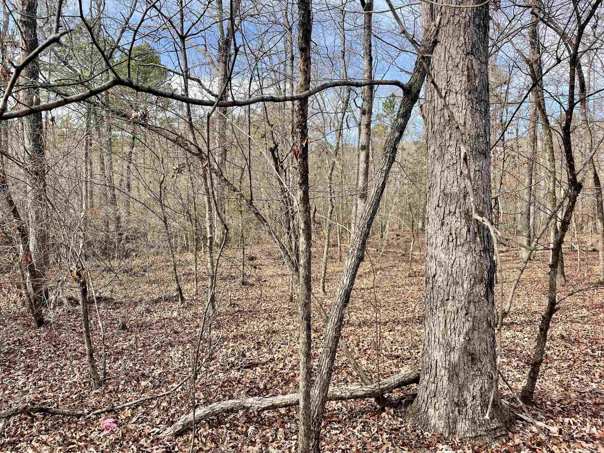 Not in Subdivision - Land