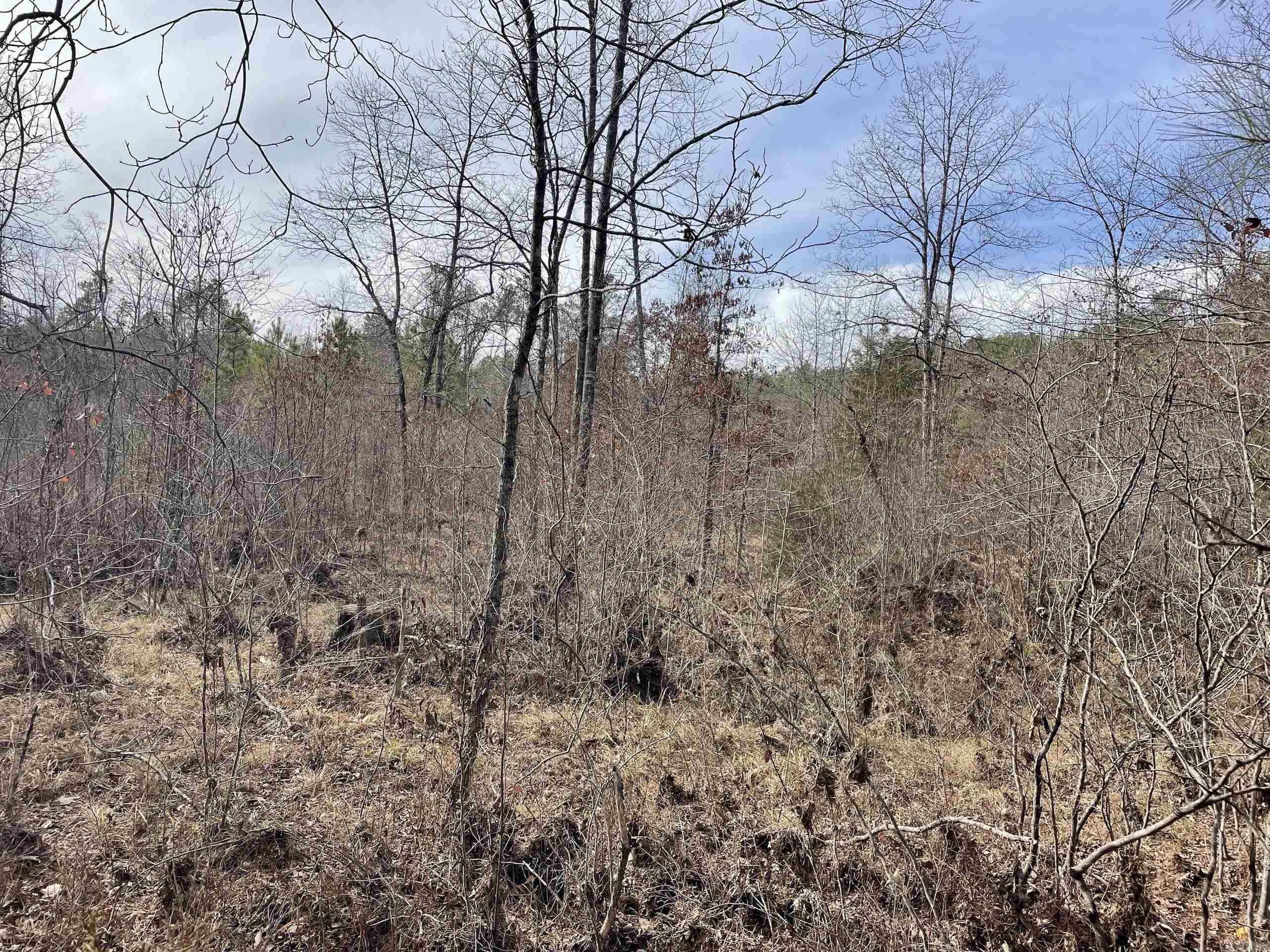 Not in Subdivision - Land