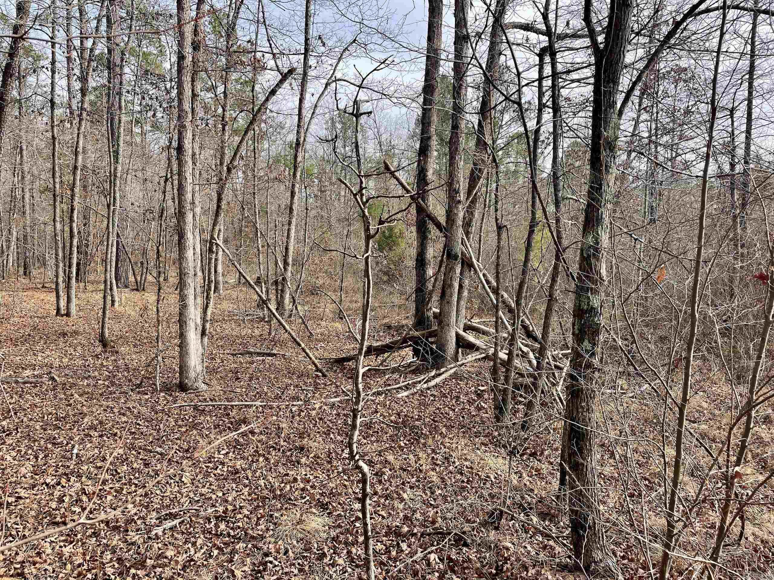 Not in Subdivision - Land