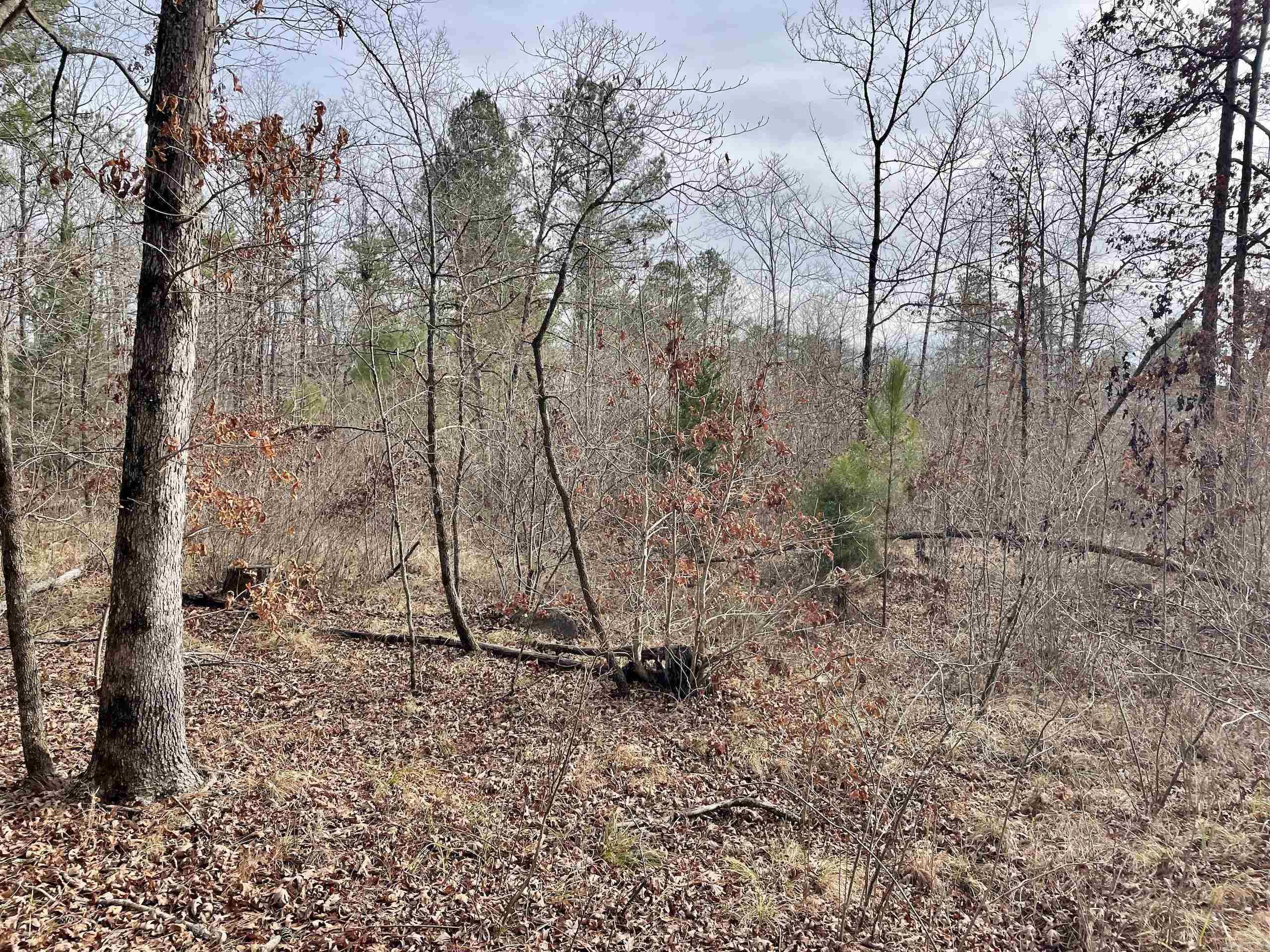 Not in Subdivision - Land