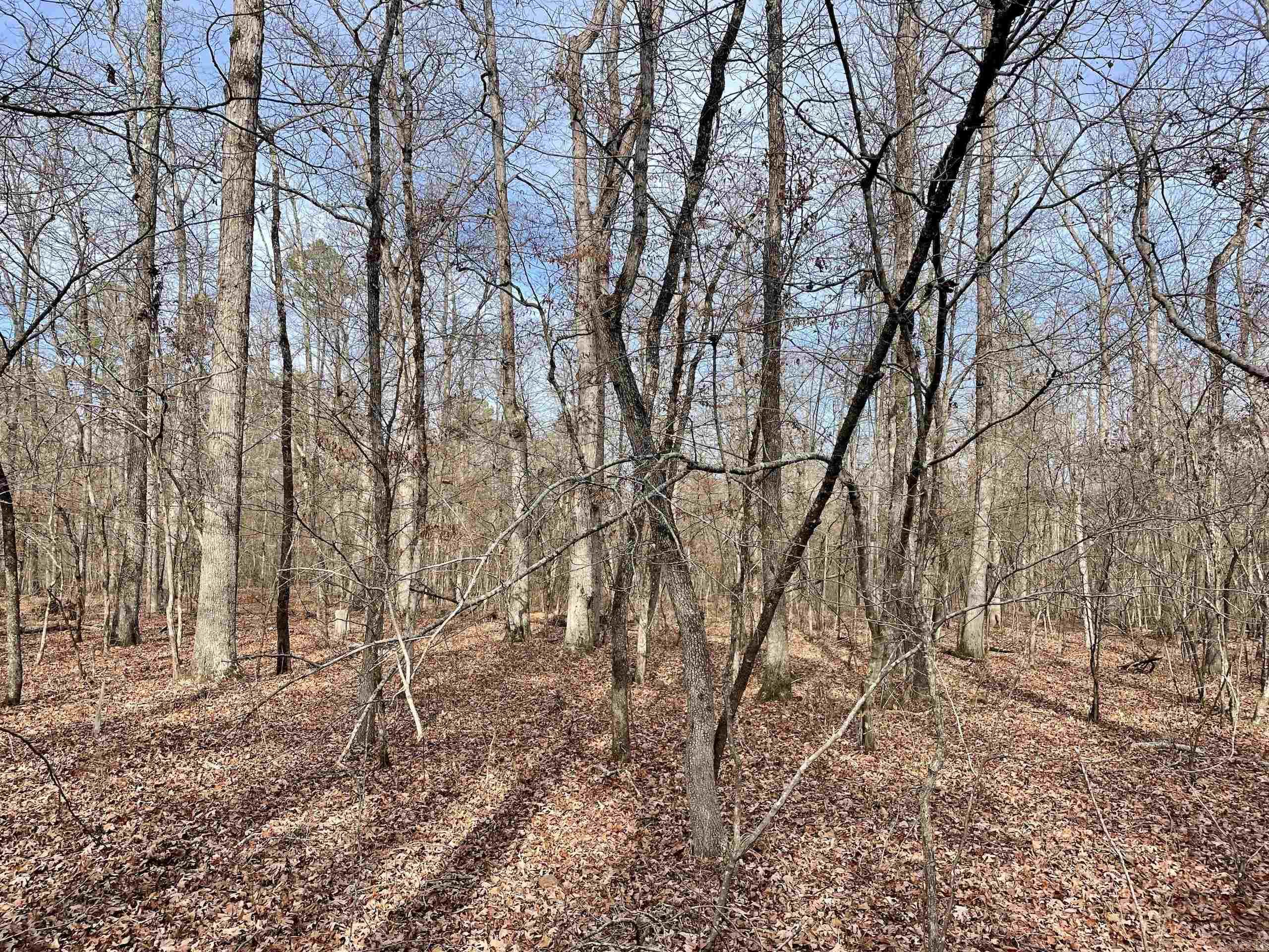 Not in Subdivision - Land