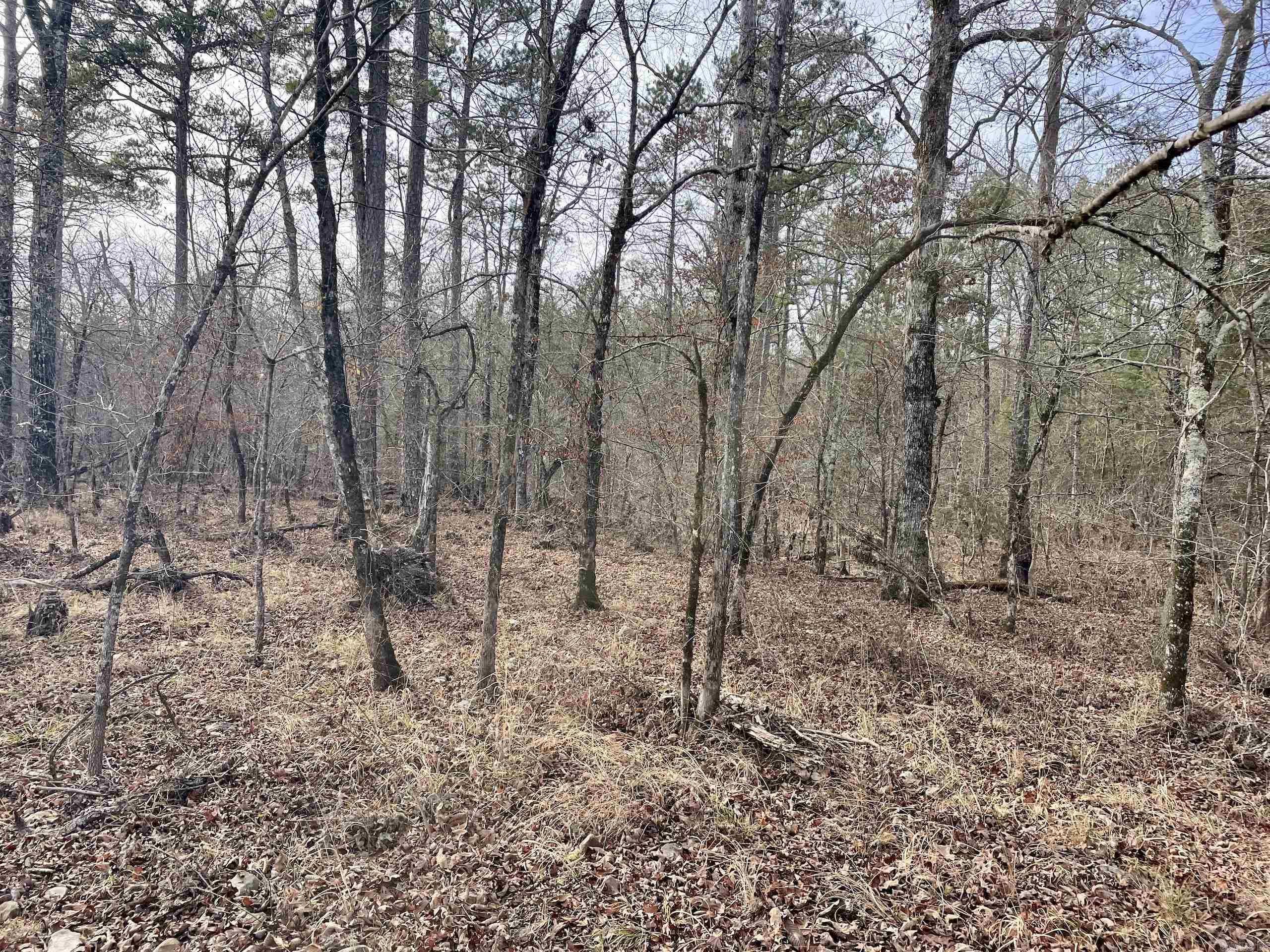 Not in Subdivision - Land