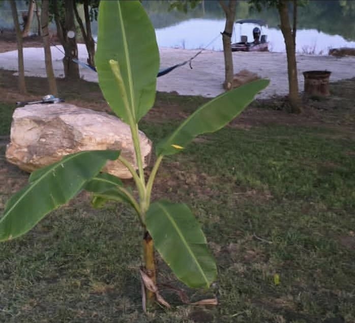 White River Run - Land