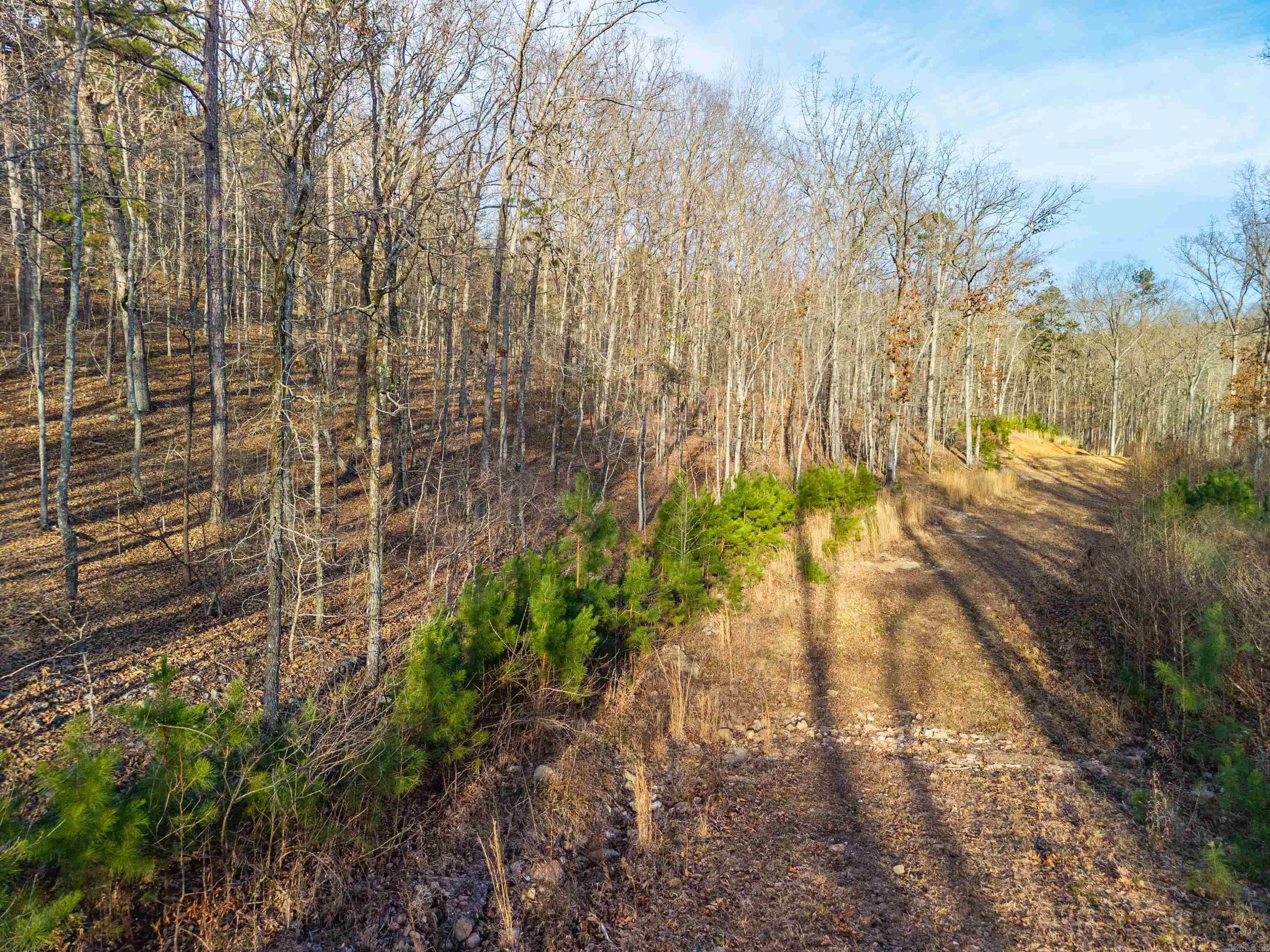 Metes & Bounds - Land