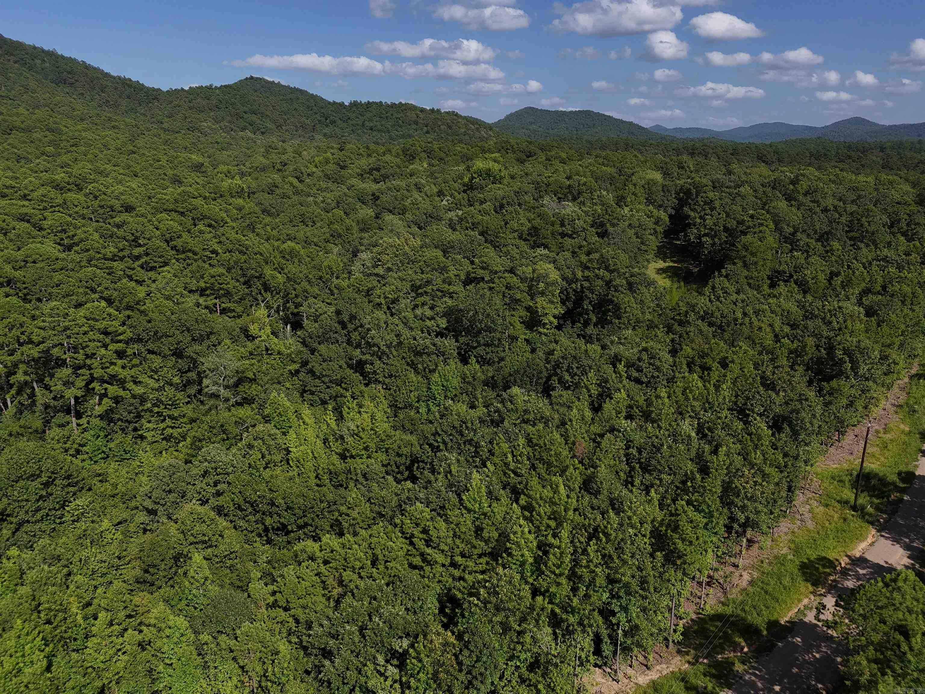 3.147 acres waiting for your new home in the beautiful Rustic Ridge Subdivision! Enjoy mountain views, peaceful surroundings, wildlife, and a great location just minutes to downtown Mena. Ride straight to the Wolf Pen Gap west trailhead which is just 12 miles away. Electric is available, and a survey is completed. Also has a wet weather creek along the northern boundary. This lot is a beautiful place to build, relax and explore - come take a look today!