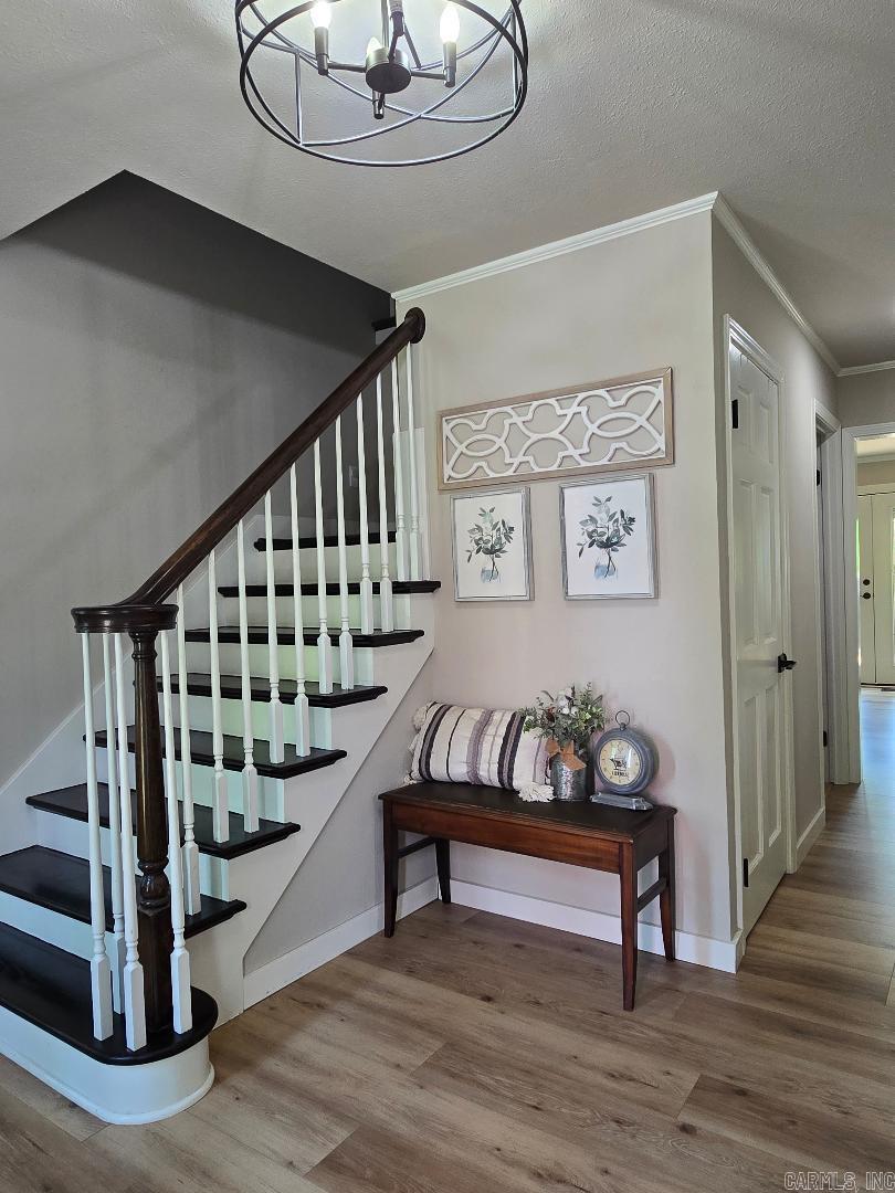 BIG PINE - Residential