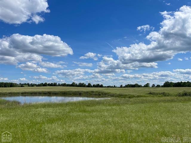 This beautiful property boasts mostly cleared pastureland with 2 ponds. The gently rolling landscape would make the perfect backdrop to any dream home. The entire property is fenced so bring your livestock with you if you wish. Water connection is on the property and the electrical is available at the road.
