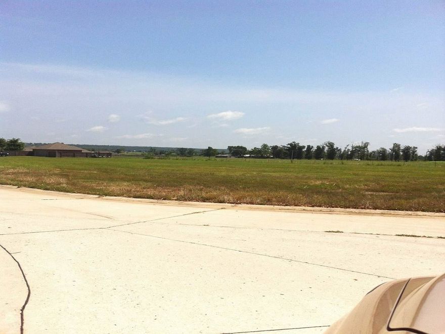 This is a well established restricted subdivision in the Vilonia school district. Also in the city limits with ALL city utilities and services. This subdivision features paved streets with curb & gutter & street lights. Lots are priced each.