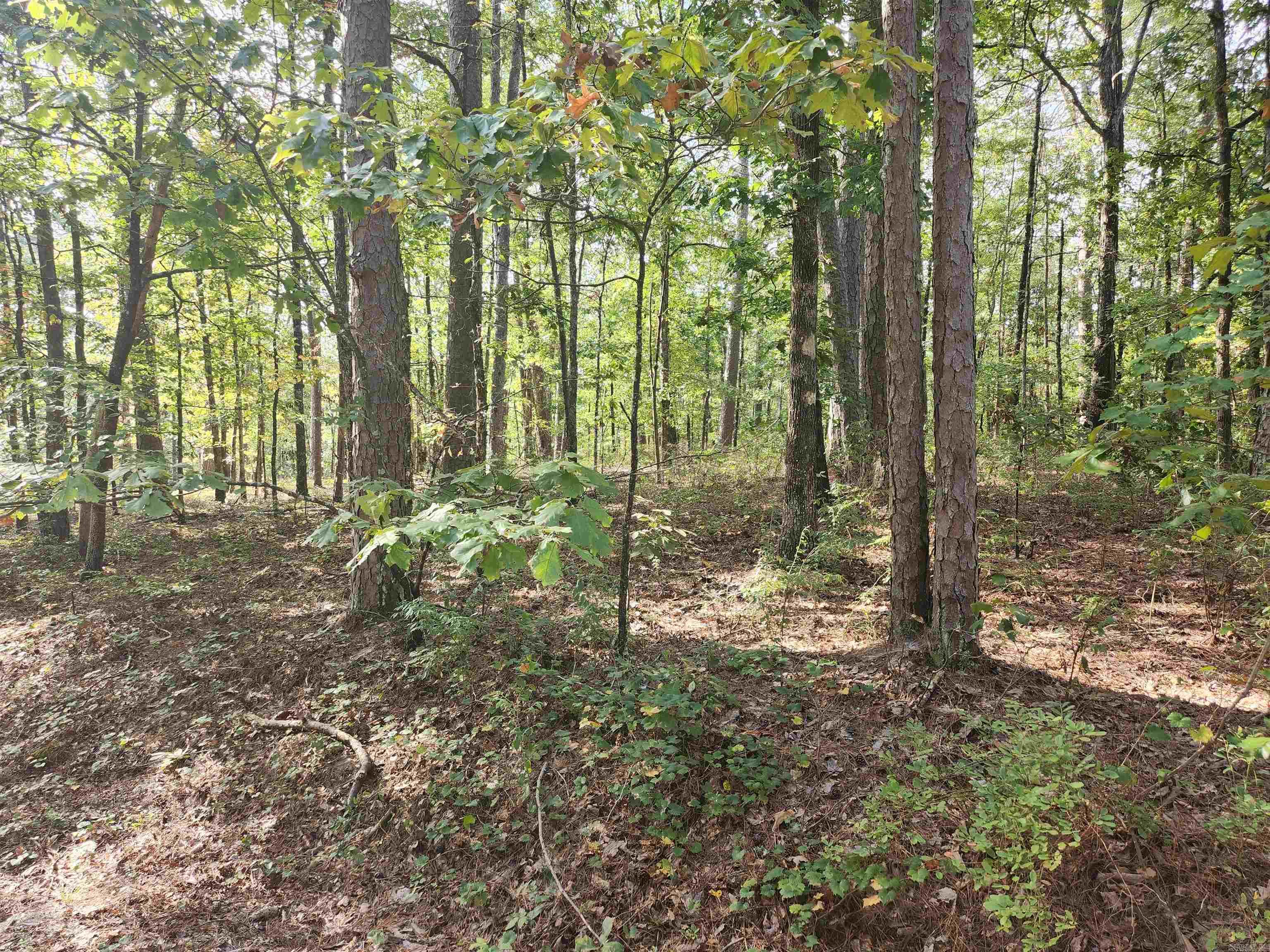 This buildable lot is located on a secluded street in Hot Springs Village.Surrounded by the natural beauty of the Ouachita Mountains, this homesite is ideal for those seeking a peaceful retreat with access to world-class amenities. Step outside your future door and enjoy over 30 miles of scenic hiking trails, 11 picturesque lakes for fishing and boating, and nine championship golf courses—Hot Springs Village is truly a paradise for outdoor enthusiasts. The community also features tennis courts, pickleball, fitness centers, and a vibrant social scene with clubs and events for every interest. Nearby, you’ll find convenient shopping and dining options such as El Jimador Grill, Village Grocery, and the DeSoto Club. The property is also just a short drive from the historic Hot Springs National Park and the bustling downtown area, offering even more entertainment and cultural experiences