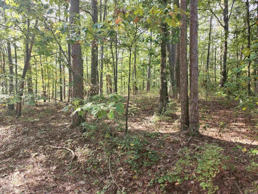 This buildable lot is located on a secluded street in Hot Springs Village.Surrounded by the natural beauty of the Ouachita Mountains, this homesite is ideal for those seeking a peaceful retreat with access to world-class amenities. Step outside your future door and enjoy over 30 miles of scenic hiking trails, 11 picturesque lakes for fishing and boating, and nine championship golf courses—Hot Springs Village is truly a paradise for outdoor enthusiasts. The community also features tennis courts, pickleball, fitness centers, and a vibrant social scene with clubs and events for every interest. Nearby, you’ll find convenient shopping and dining options such as El Jimador Grill, Village Grocery, and the DeSoto Club. The property is also just a short drive from the historic Hot Springs National Park and the bustling downtown area, offering even more entertainment and cultural experiences