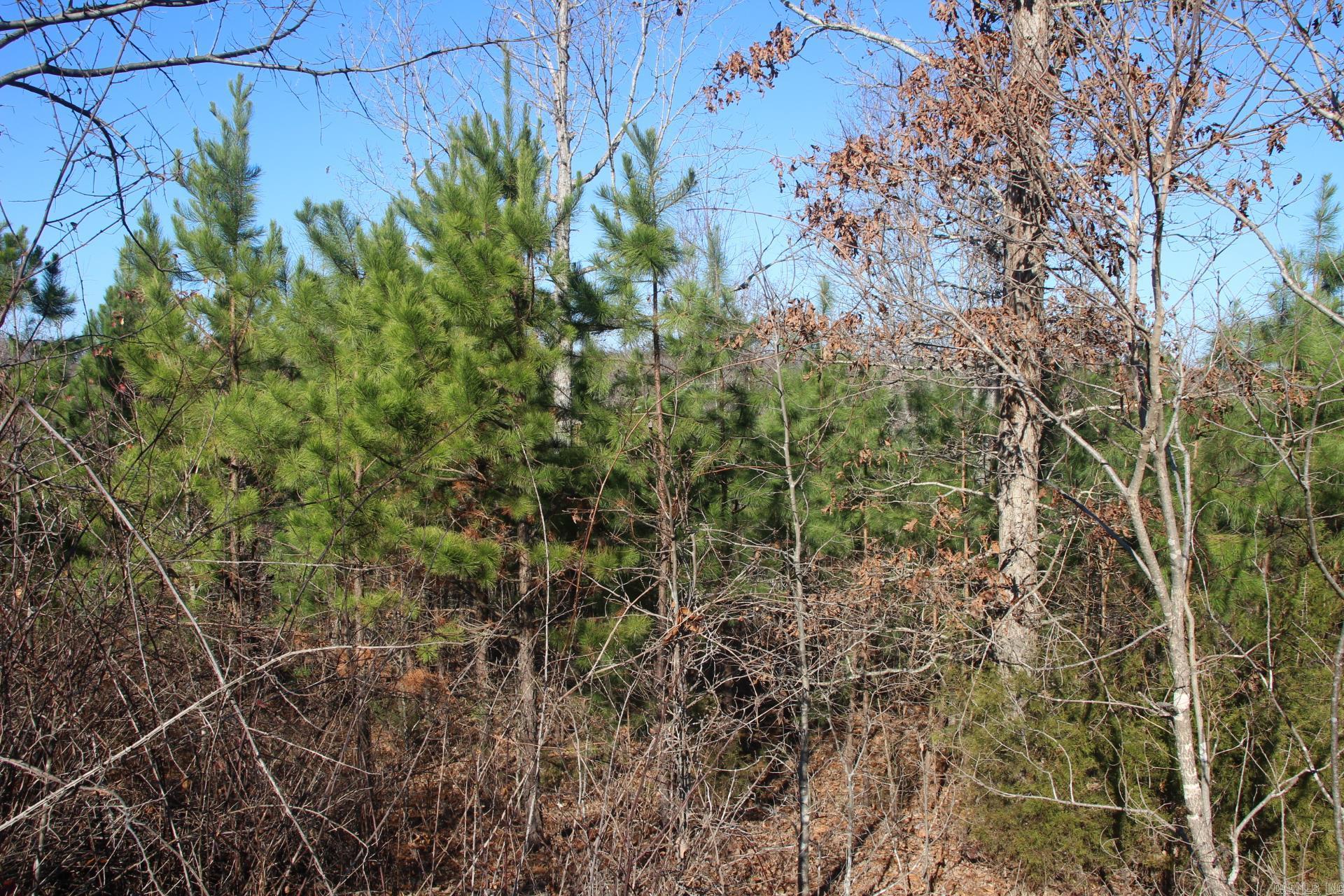 Not in Subdivision - Land