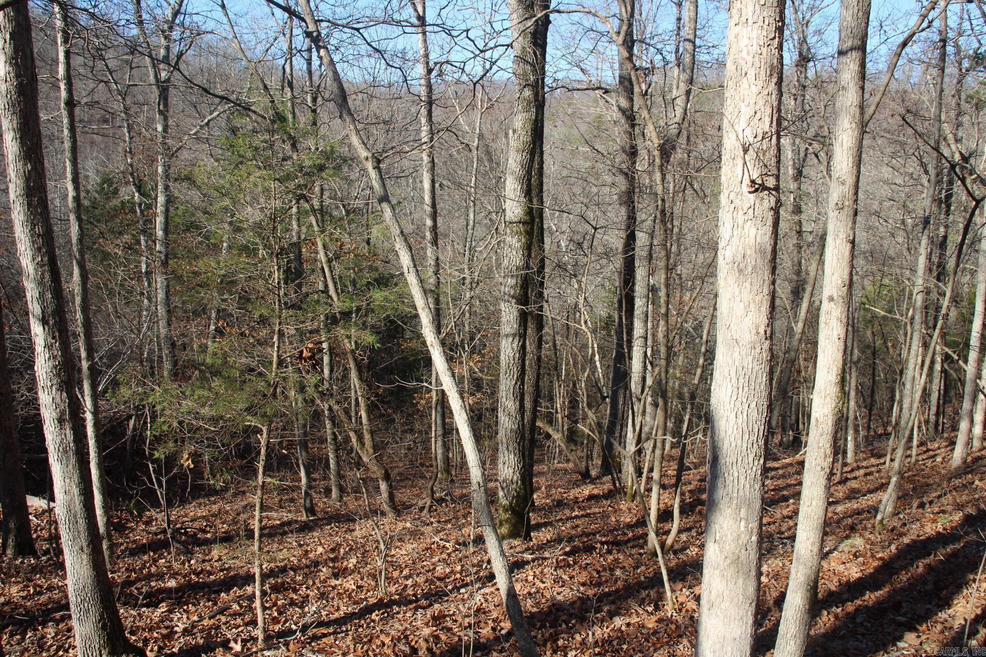 Not in Subdivision - Land